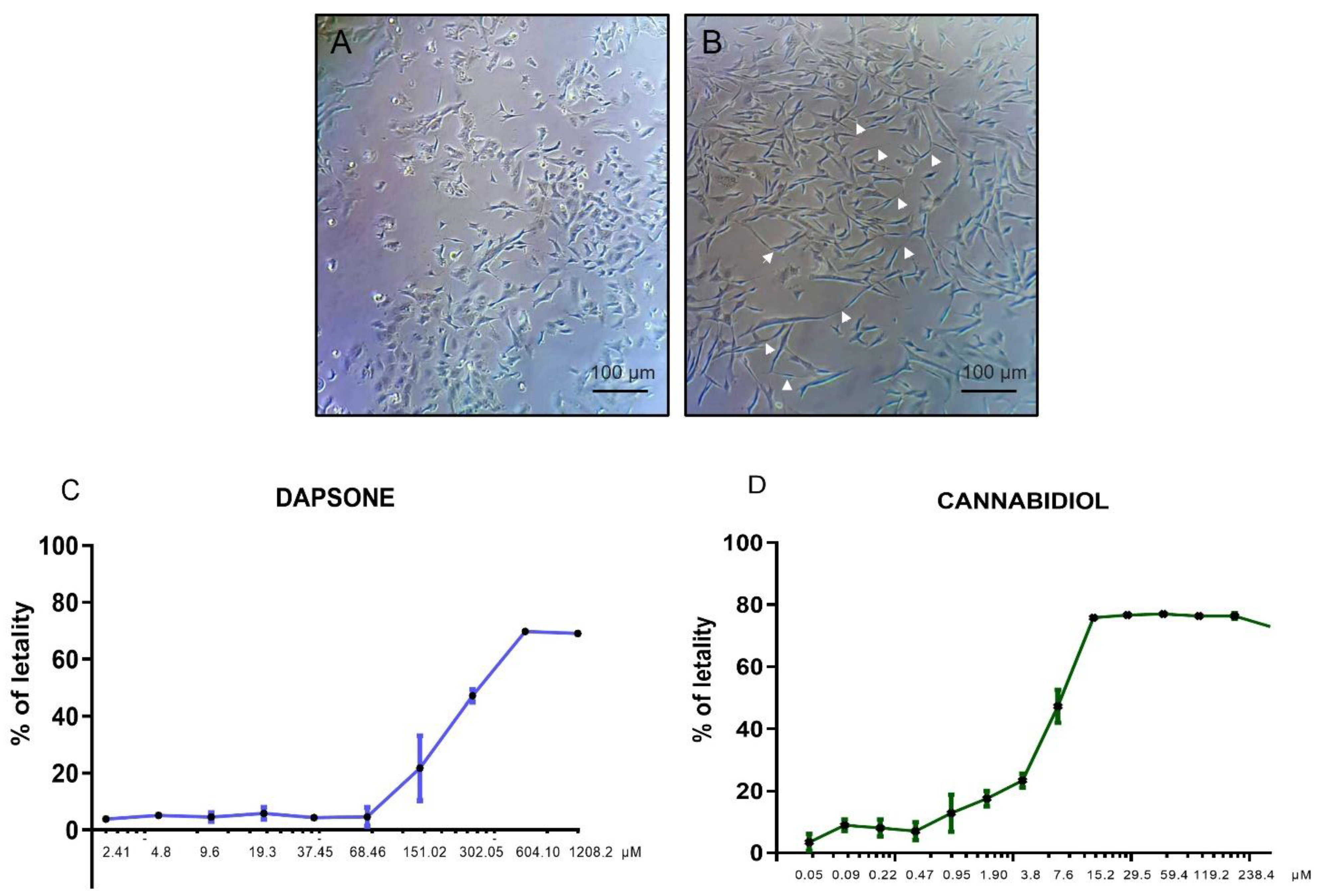 Antioxidants 13 00705 g001