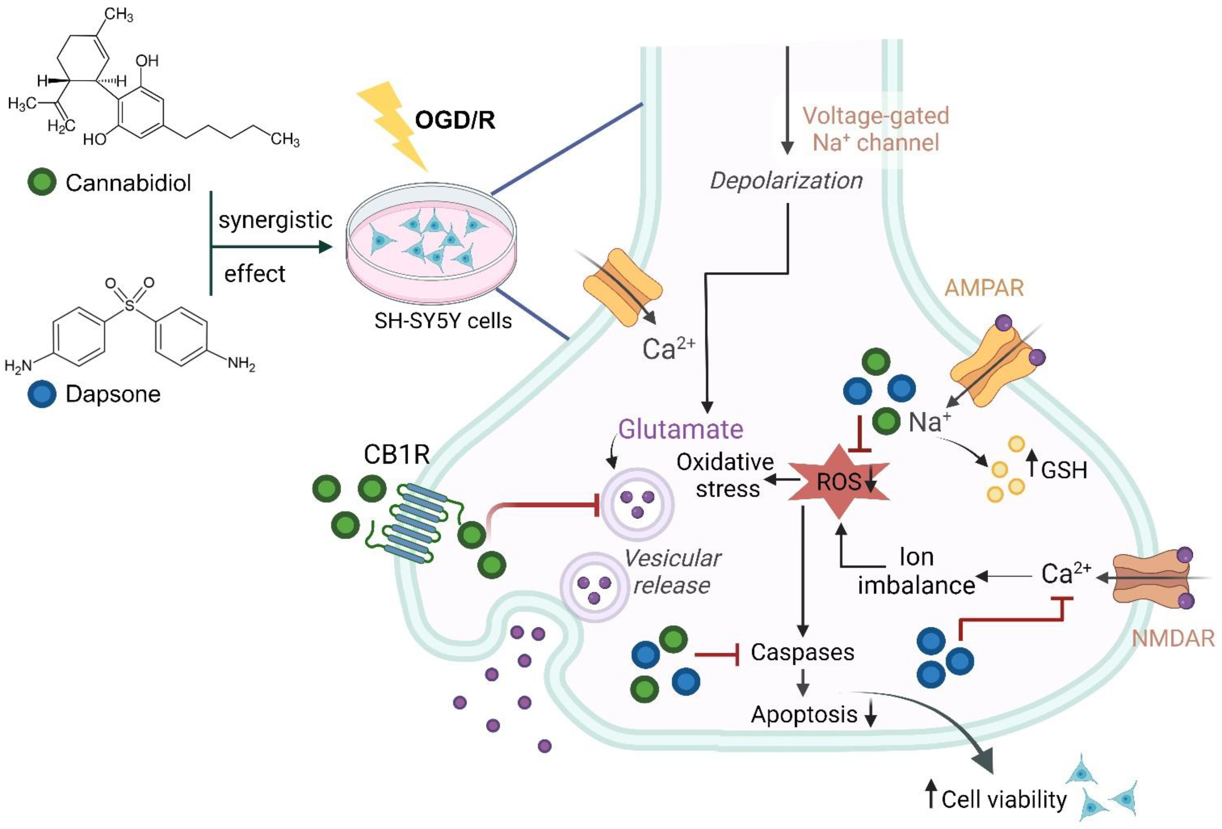 Antioxidants 13 00705 g007