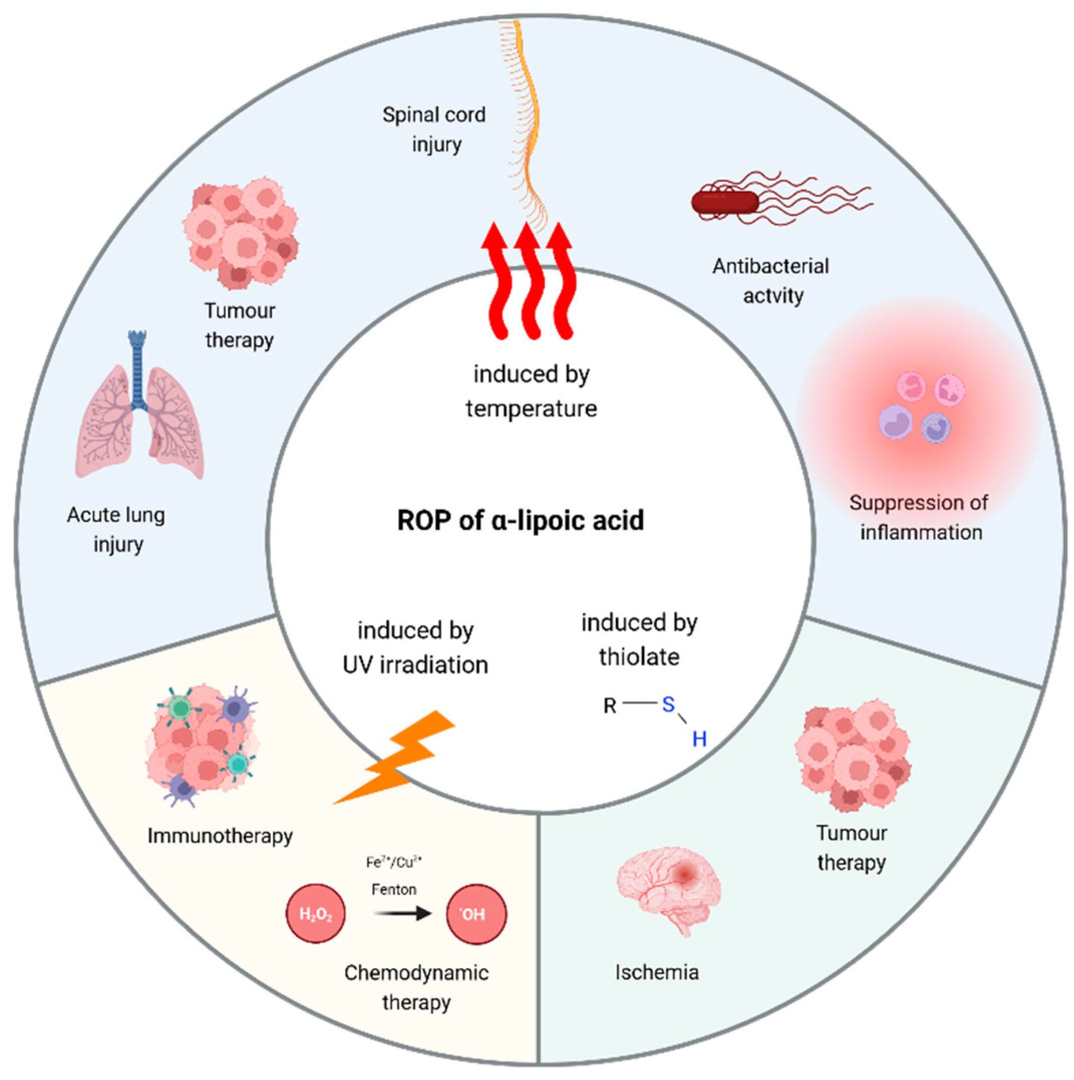 Antioxidants 13 00706 g005