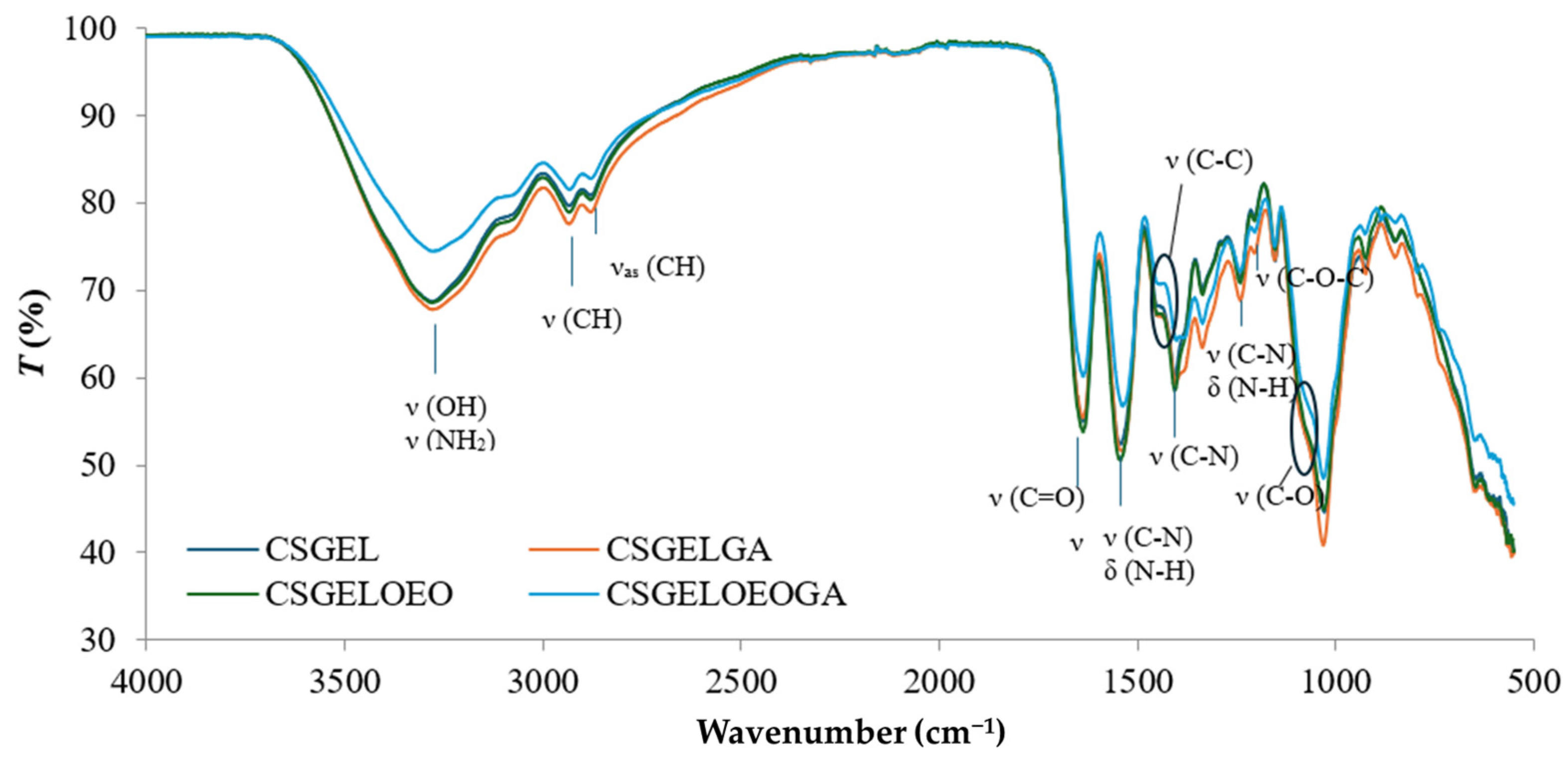 Antioxidants 13 00707 g005