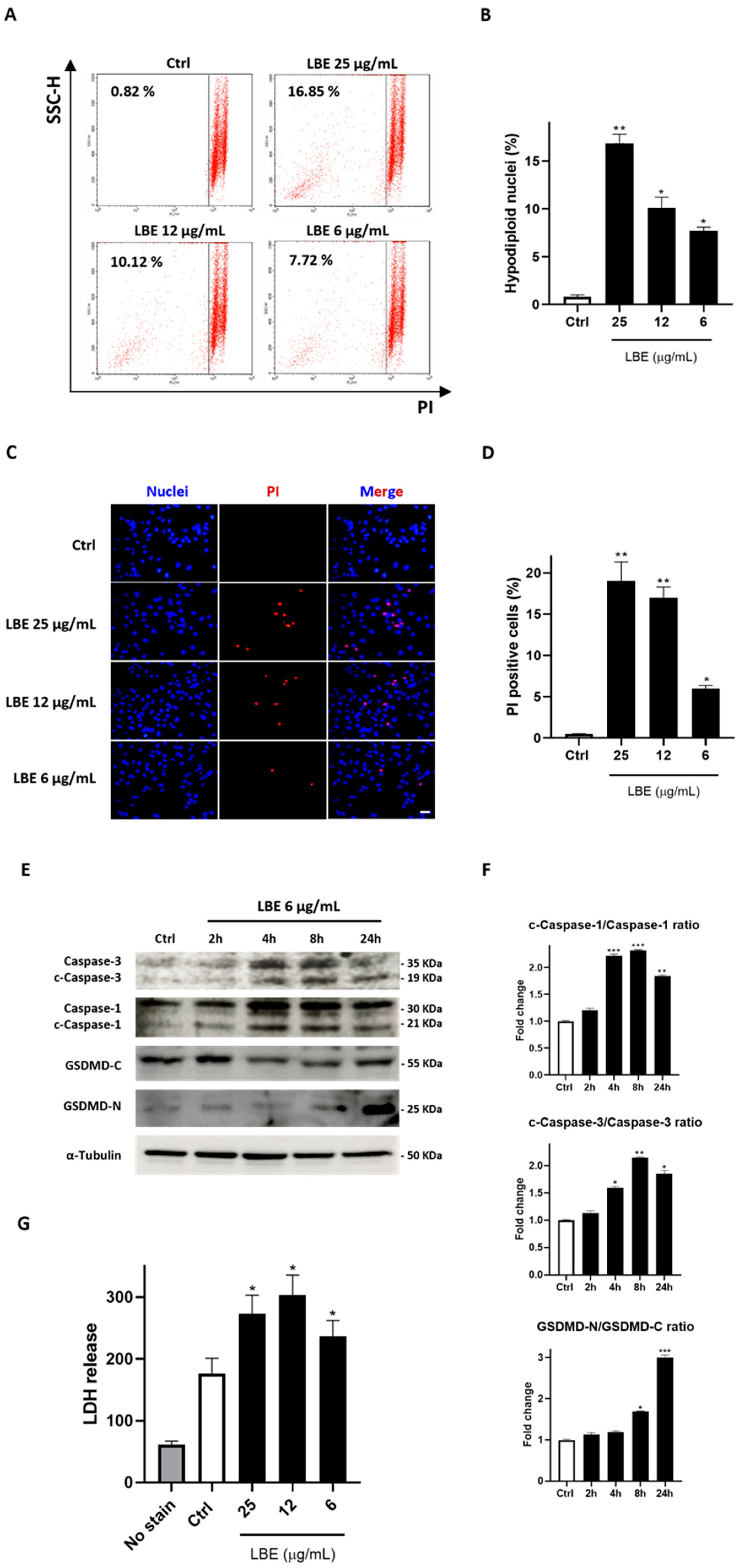 Antioxidants 13 00708 g002