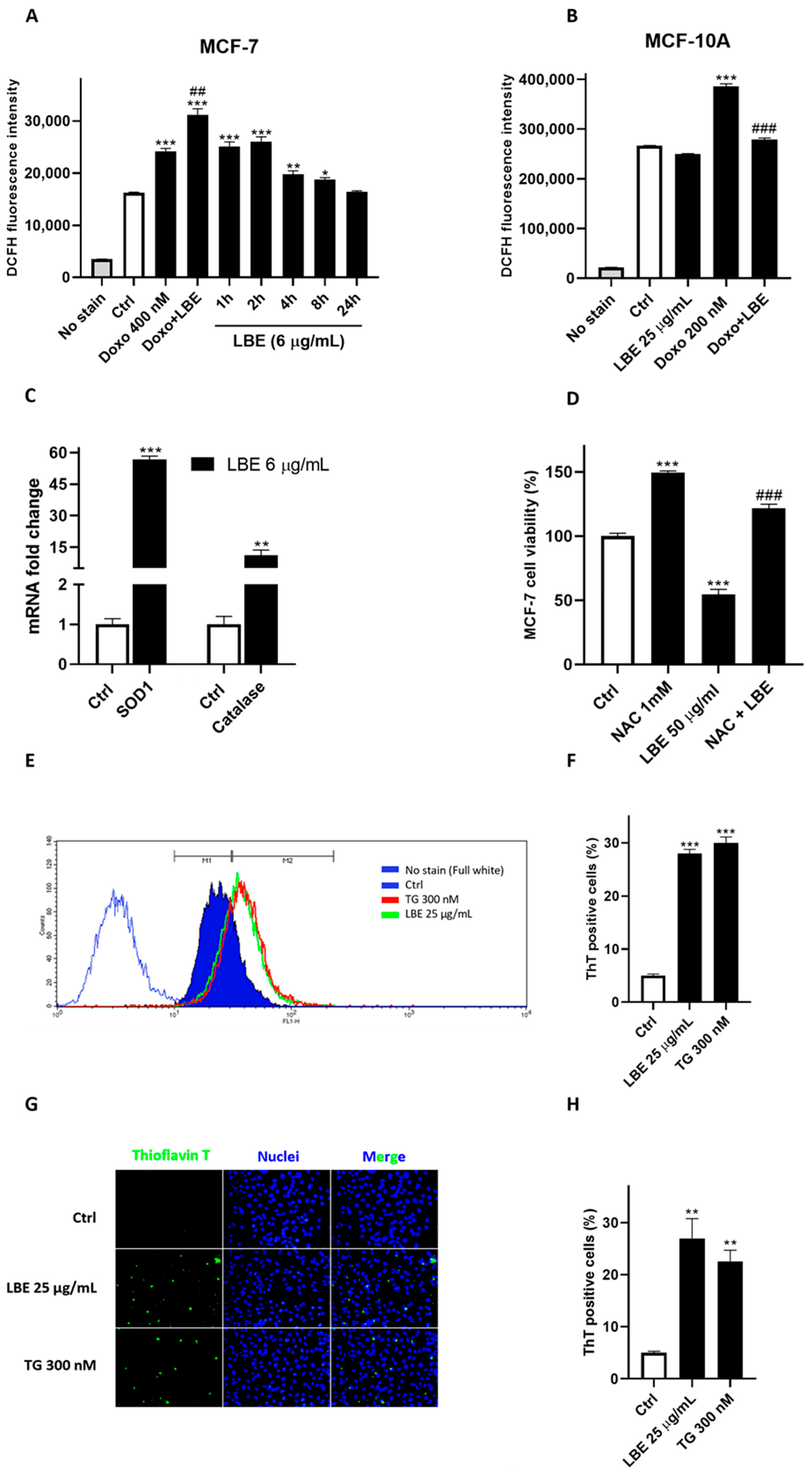 Antioxidants 13 00708 g003