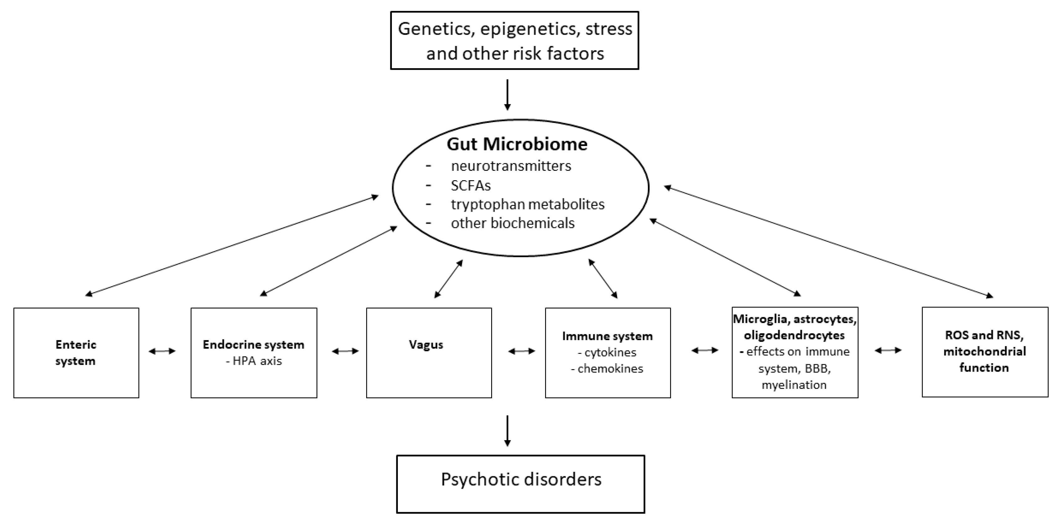 Antioxidants 13 00709 g002