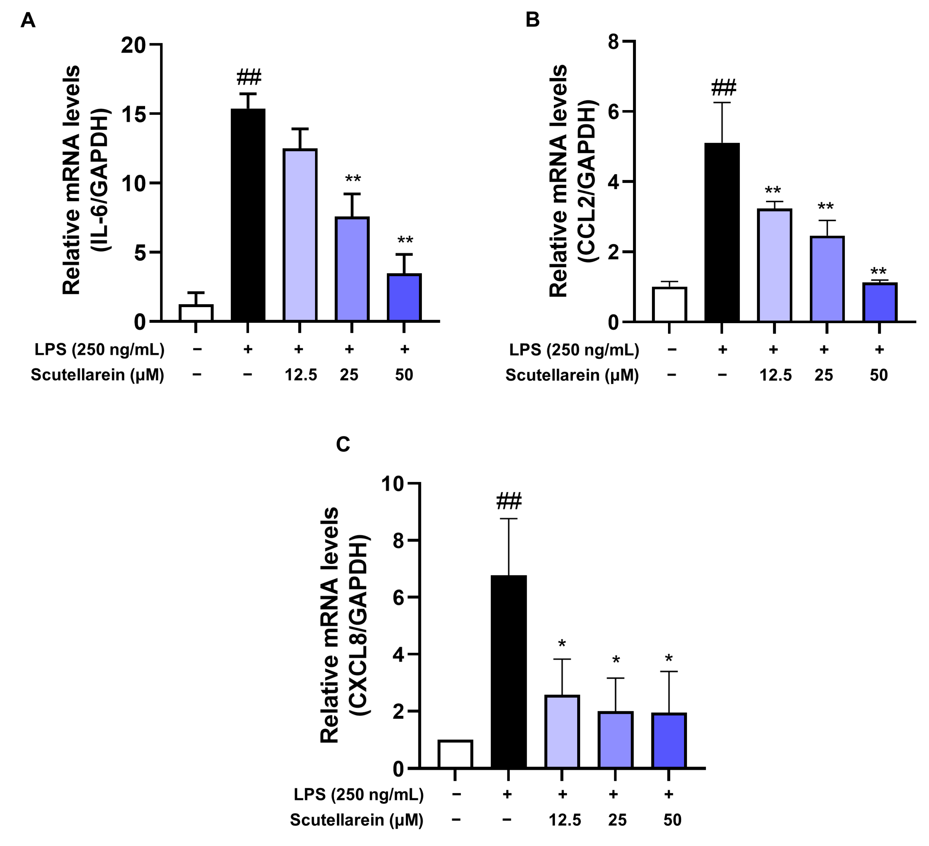 Antioxidants 13 00710 g004