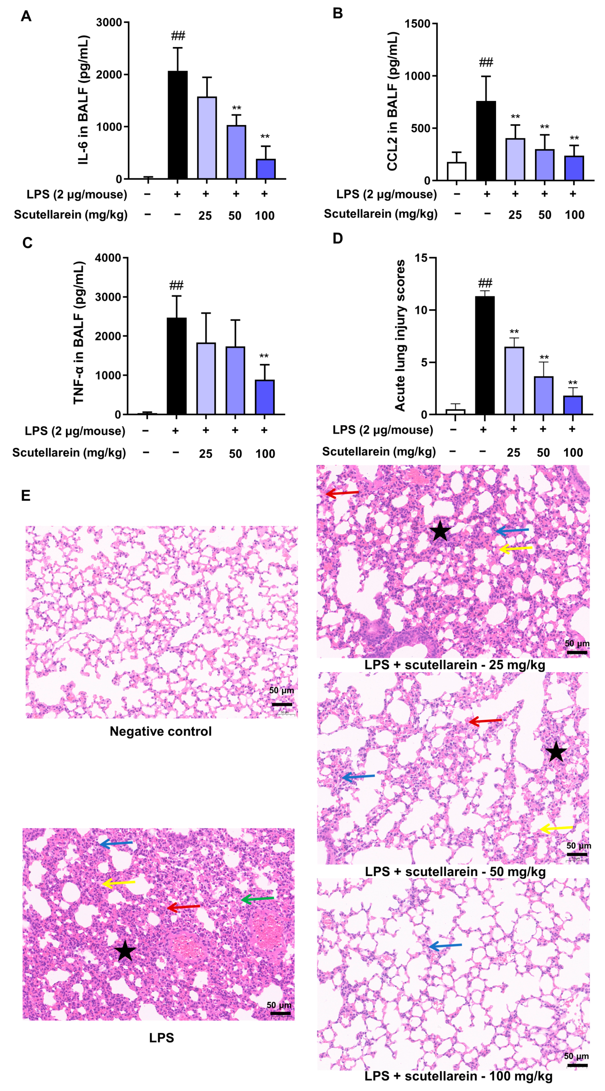 Antioxidants 13 00710 g007