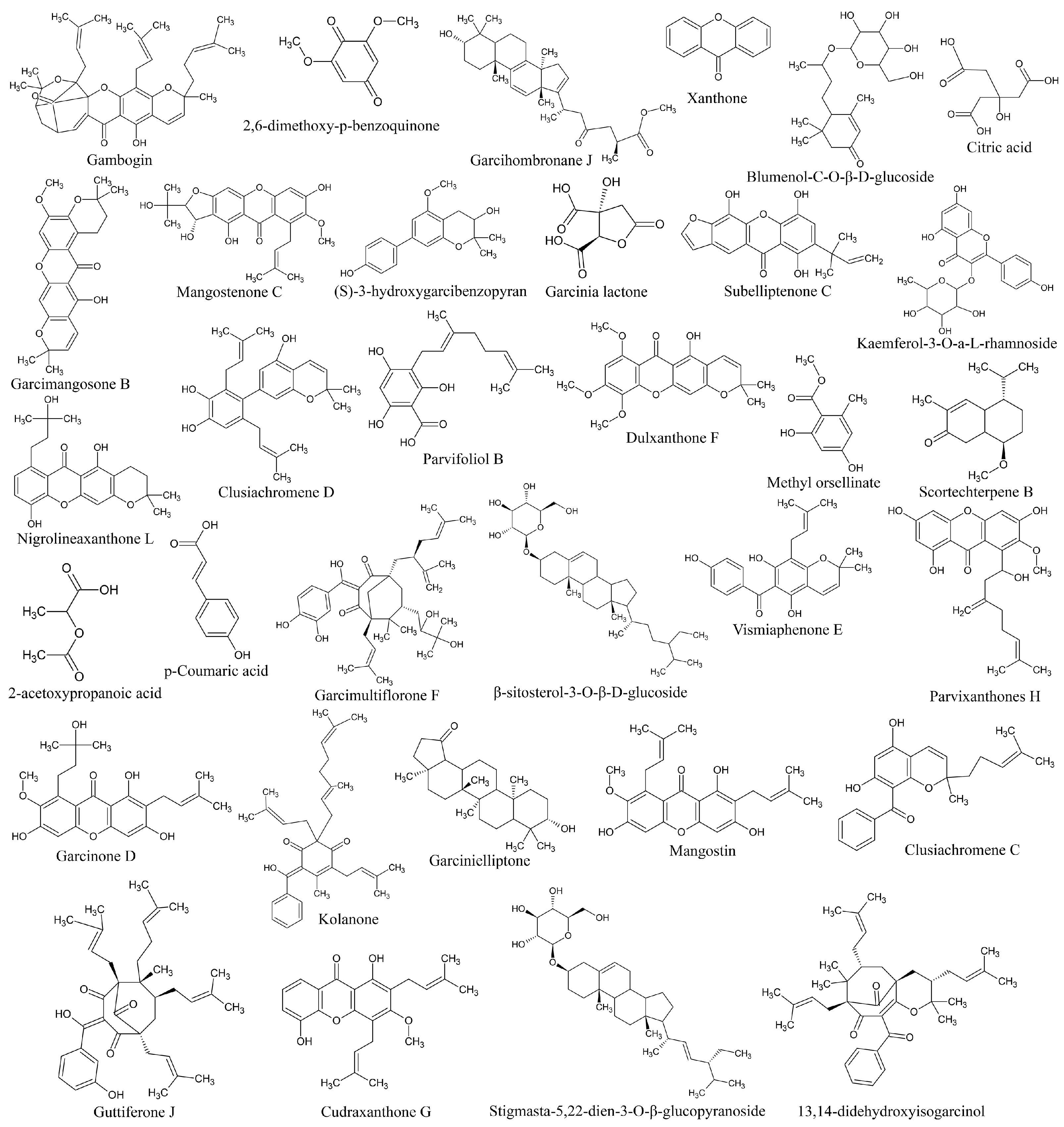 Antioxidants 13 00713 g006