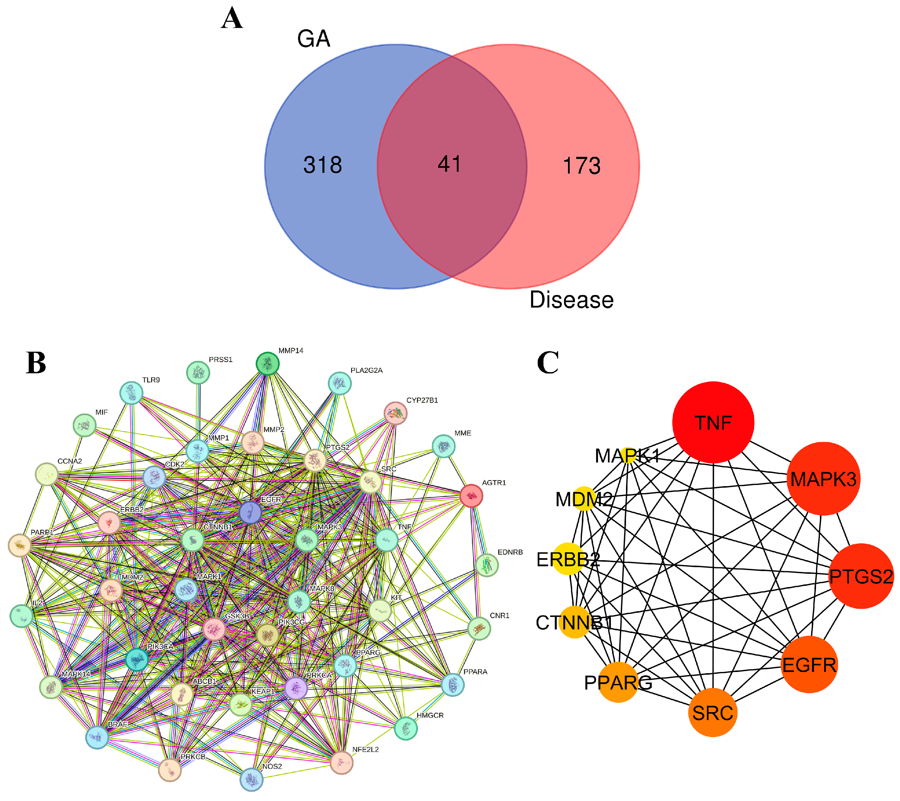 Antioxidants 13 00713 g007