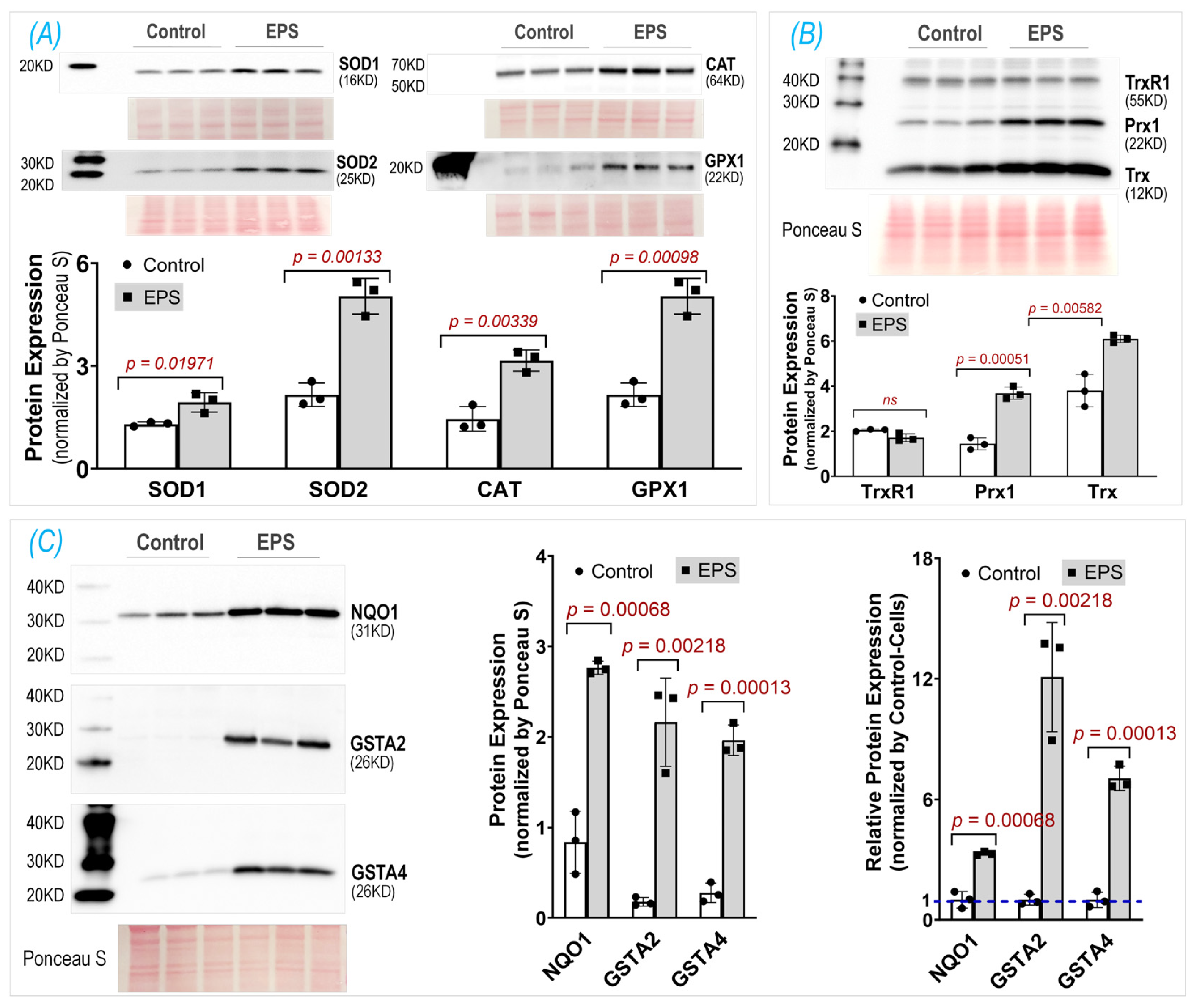 Antioxidants 13 00716 g003