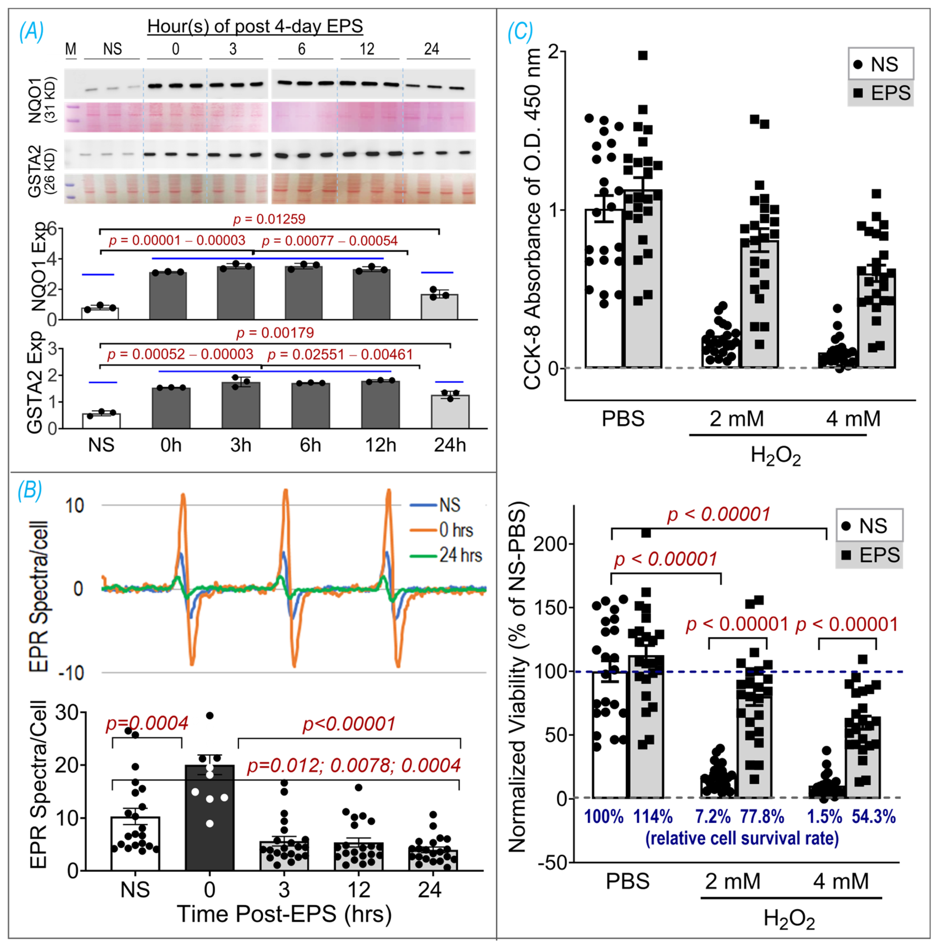 Antioxidants 13 00716 g006