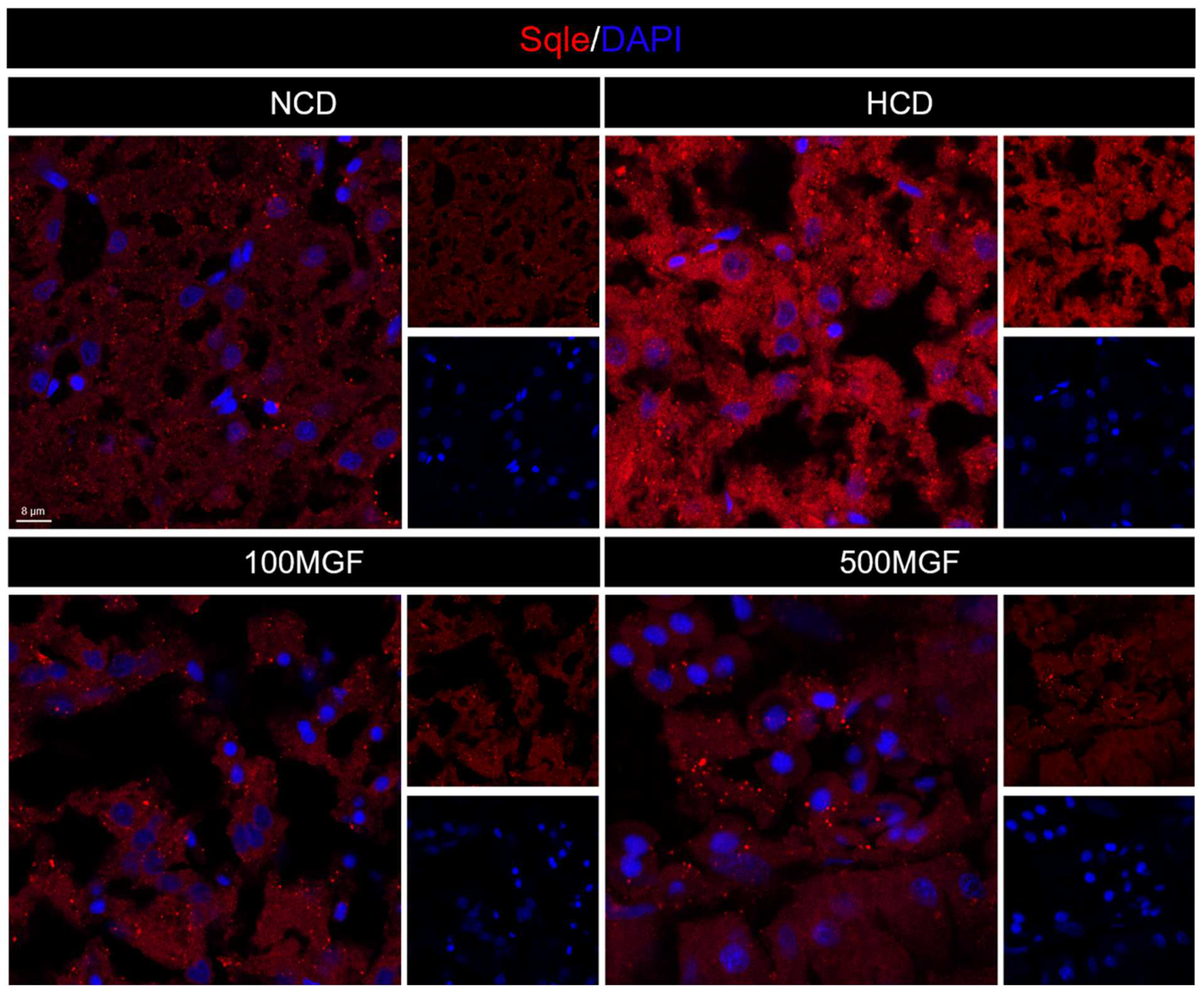Antioxidants 13 00722 g009