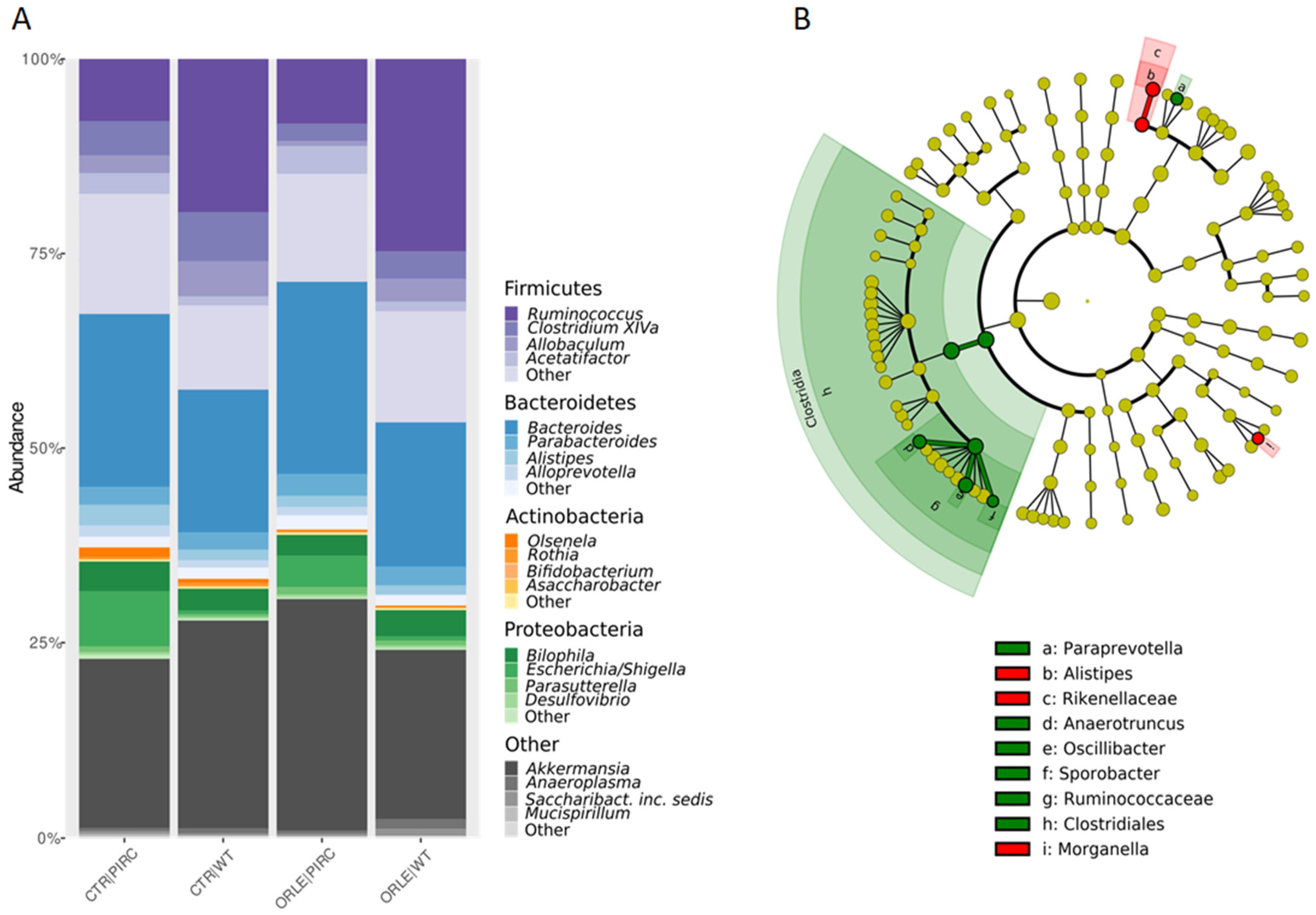 Antioxidants 13 00724 g002