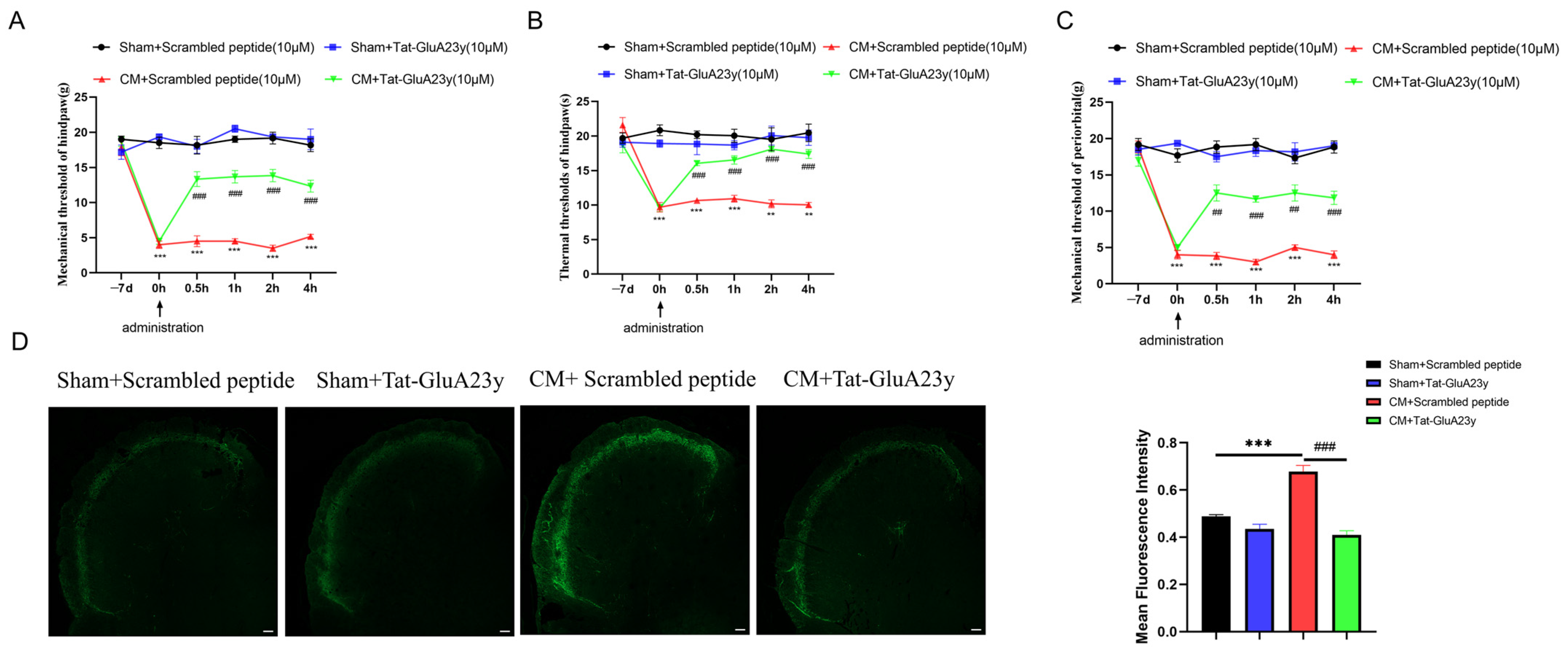 Antioxidants 13 00725 g002