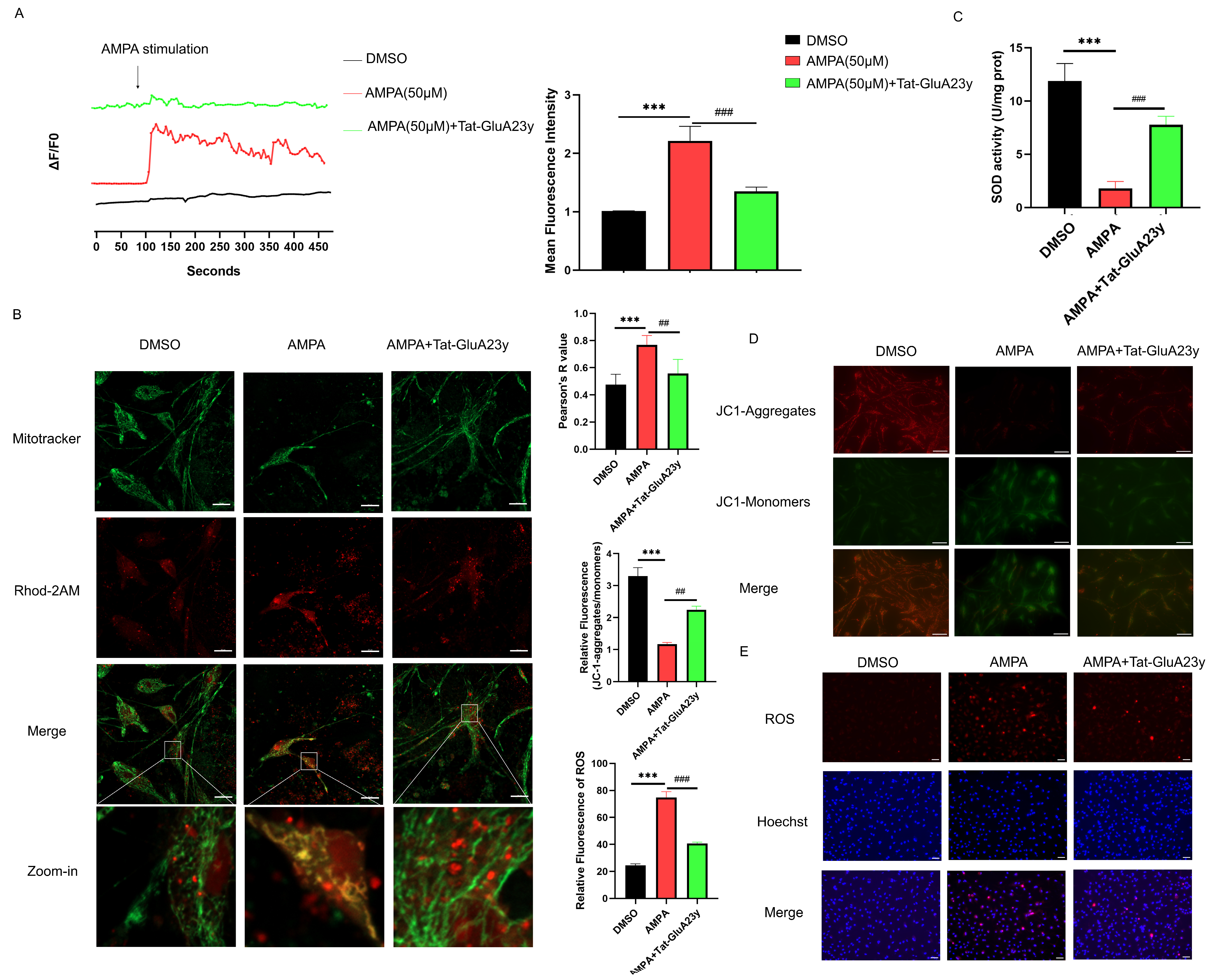 Antioxidants 13 00725 g003