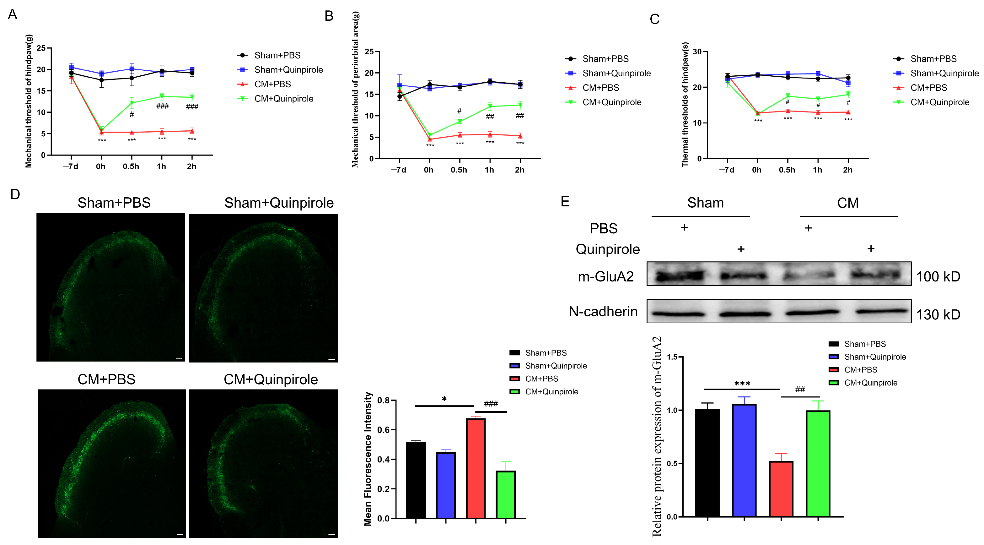 Antioxidants 13 00725 g006