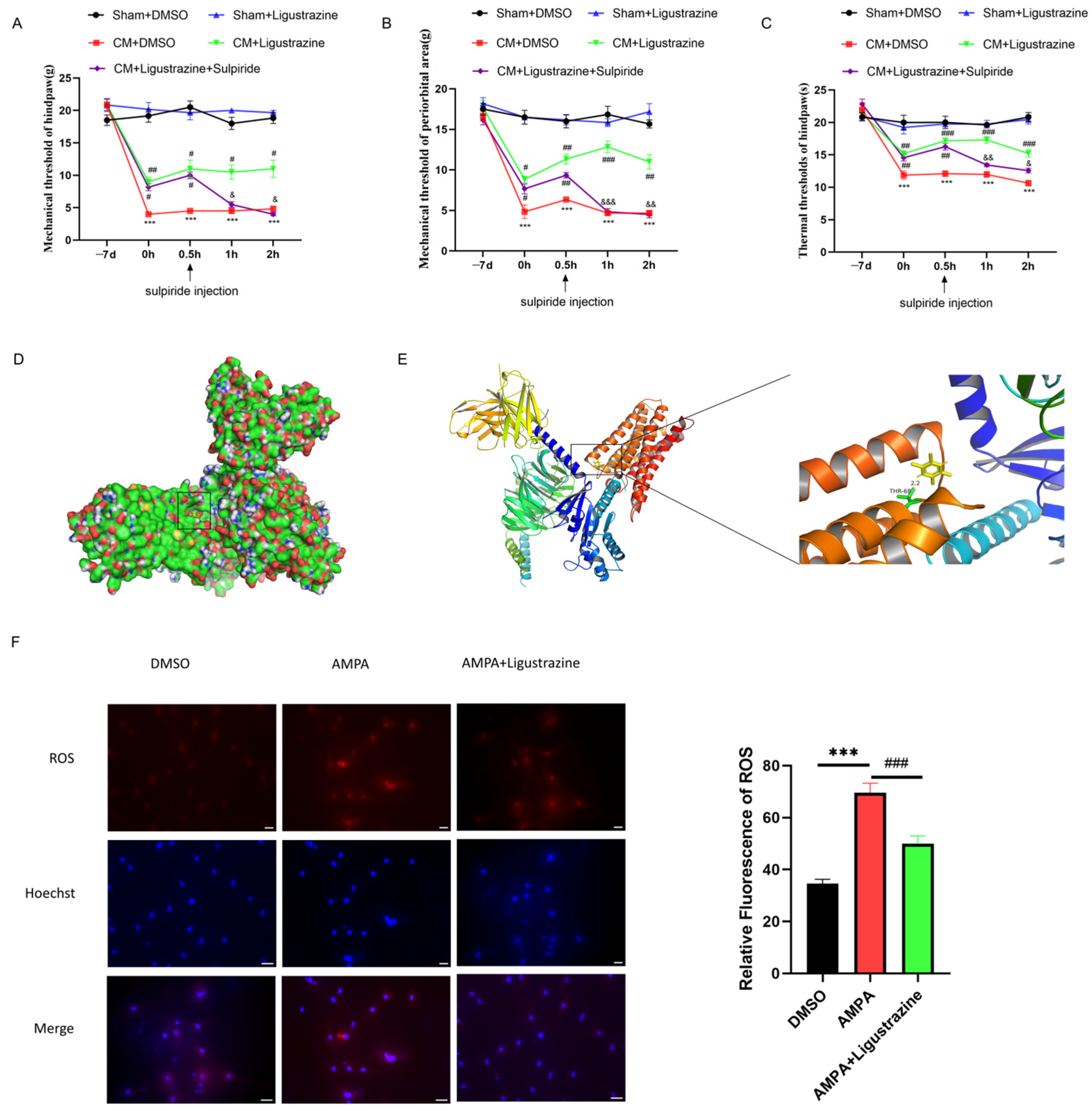Antioxidants 13 00725 g008