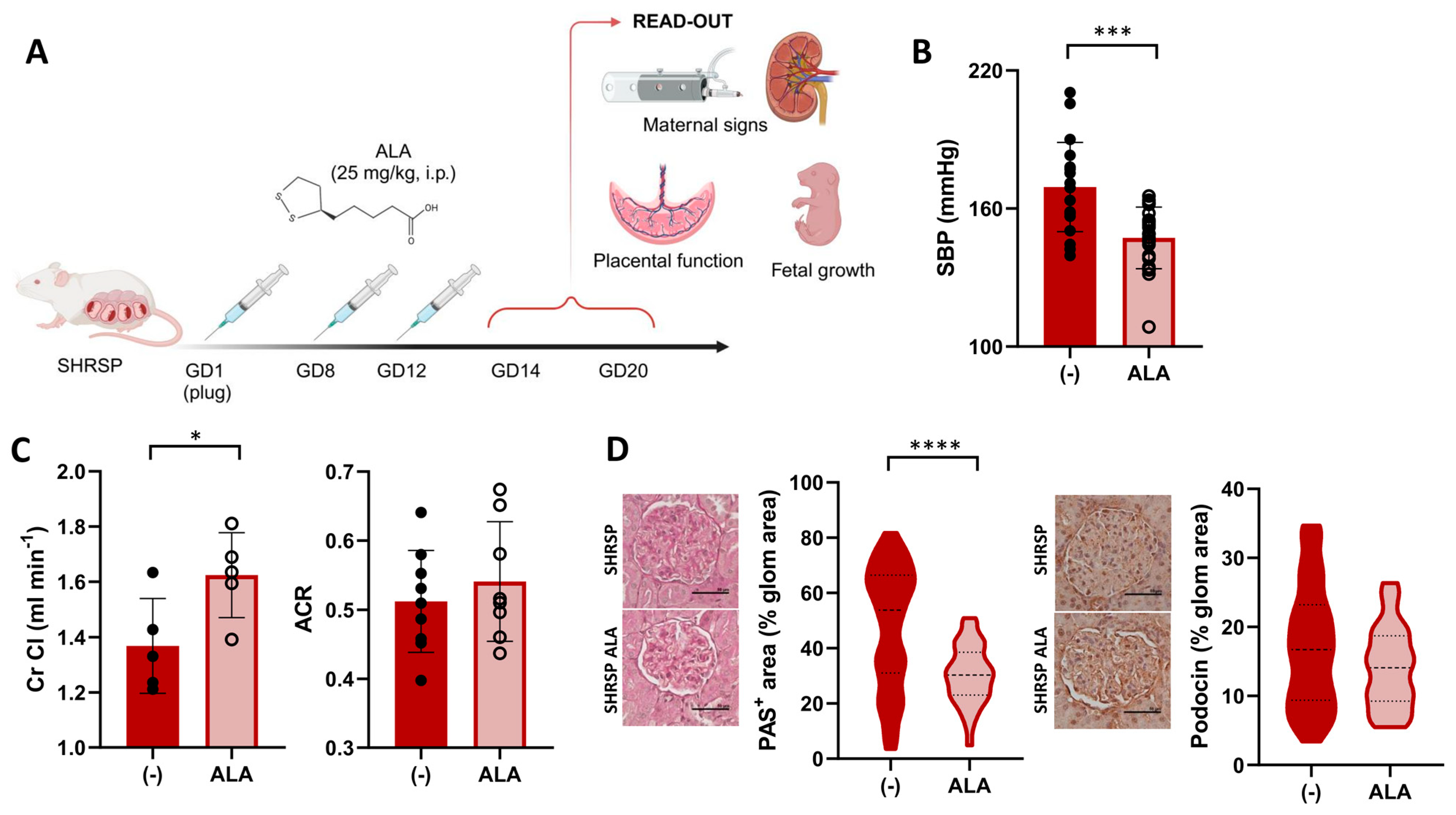 Antioxidants 13 00730 g001