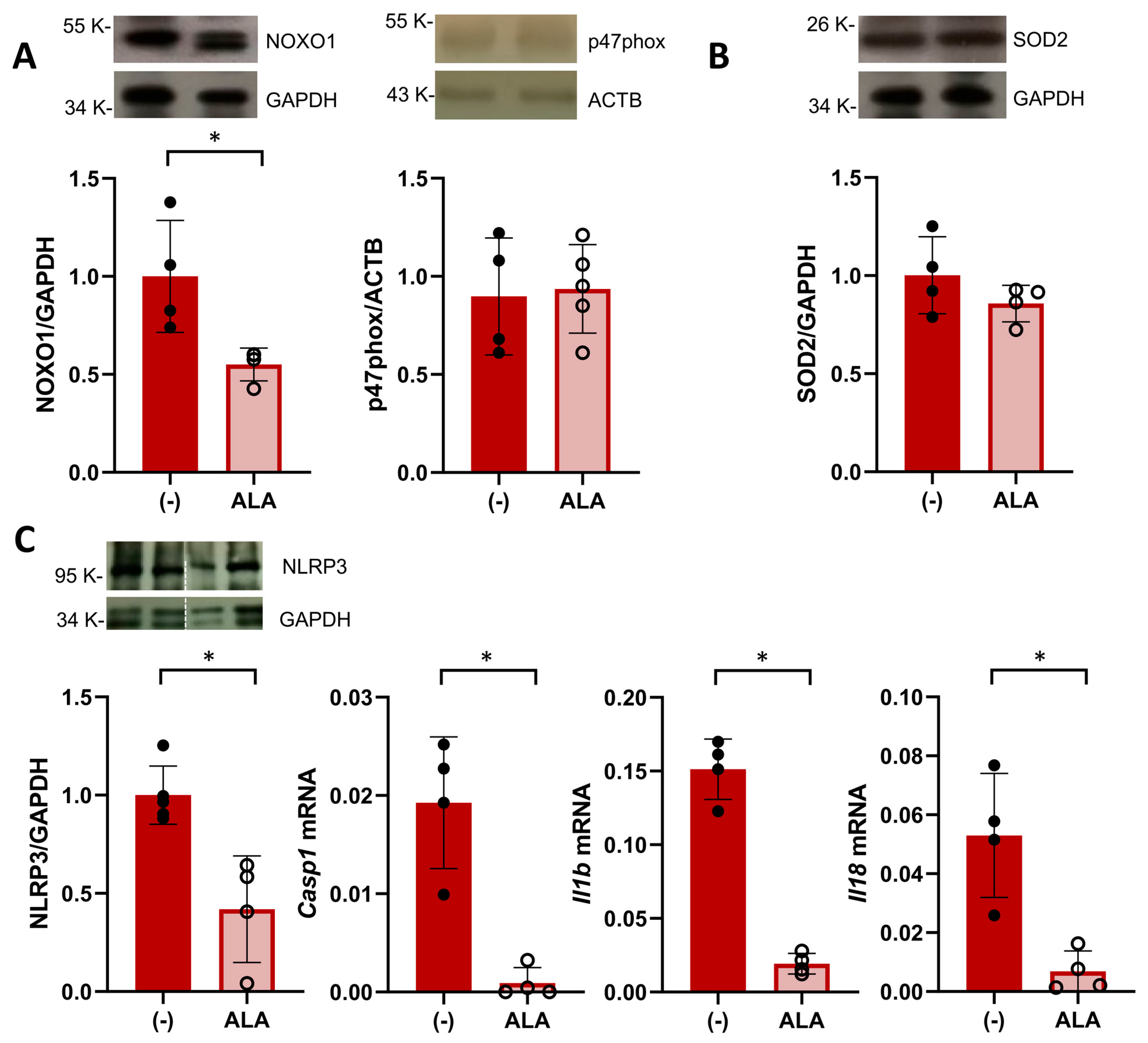 Antioxidants 13 00730 g003