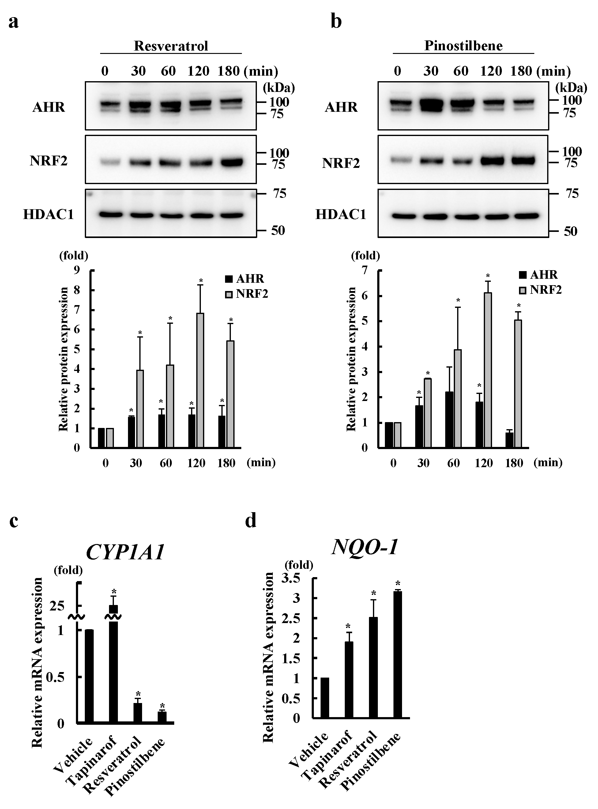 Antioxidants 13 00732 g002a
