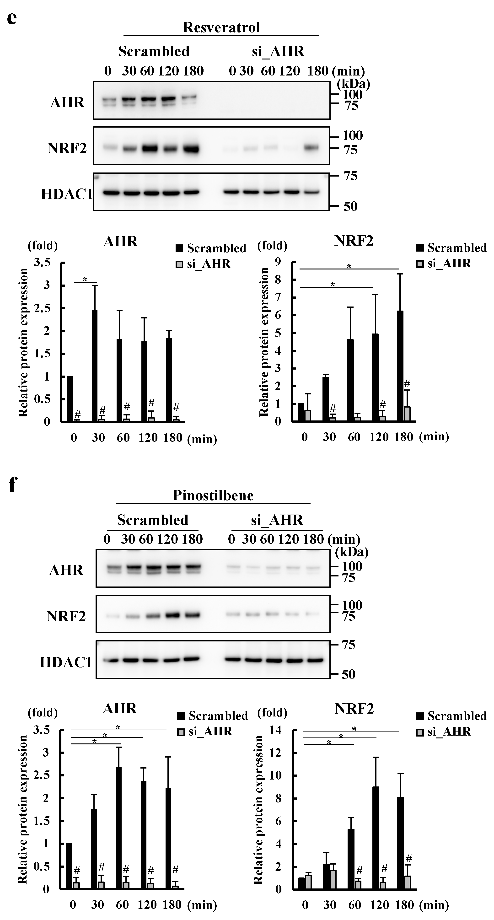 Antioxidants 13 00732 g002b