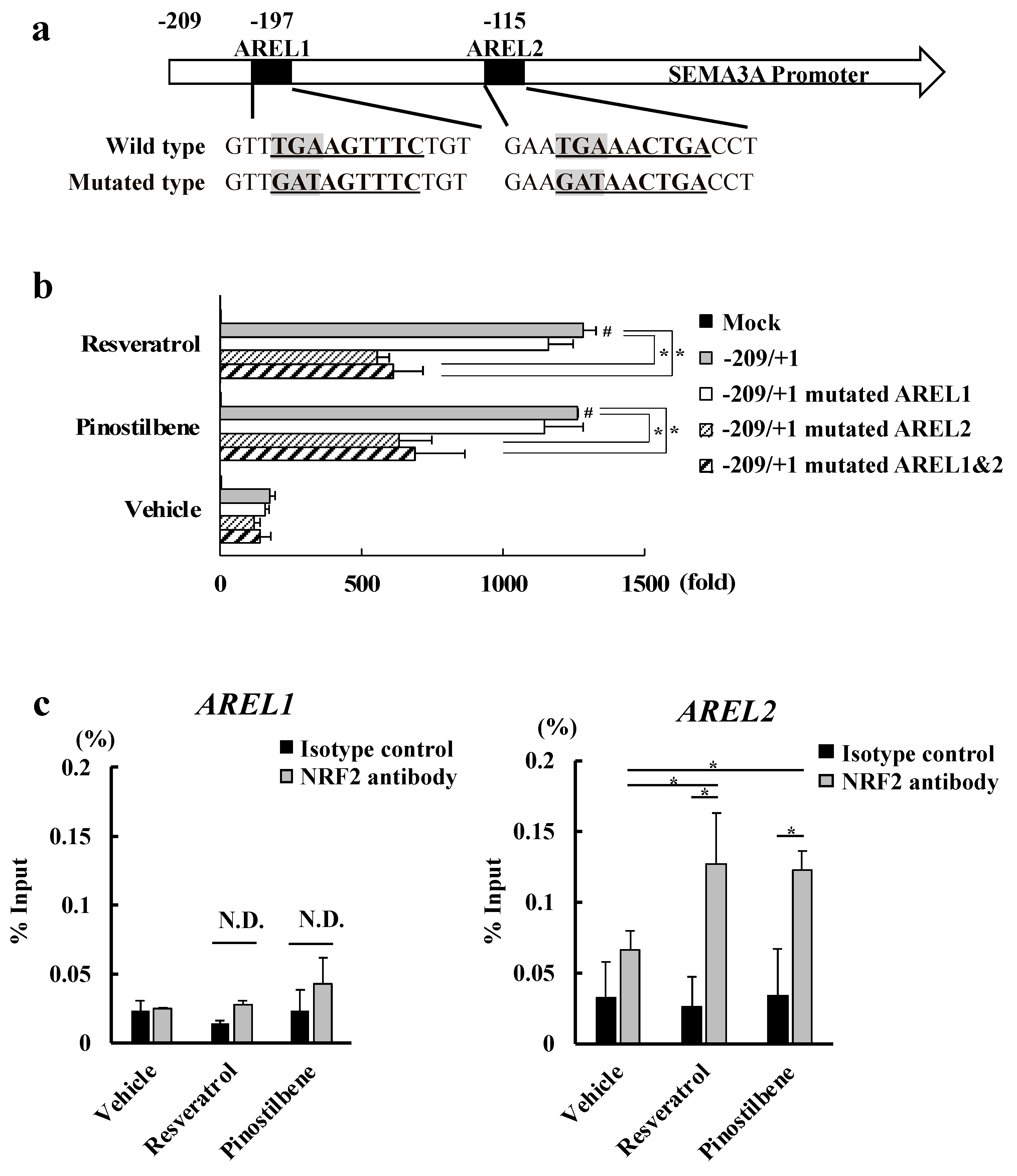 Antioxidants 13 00732 g004