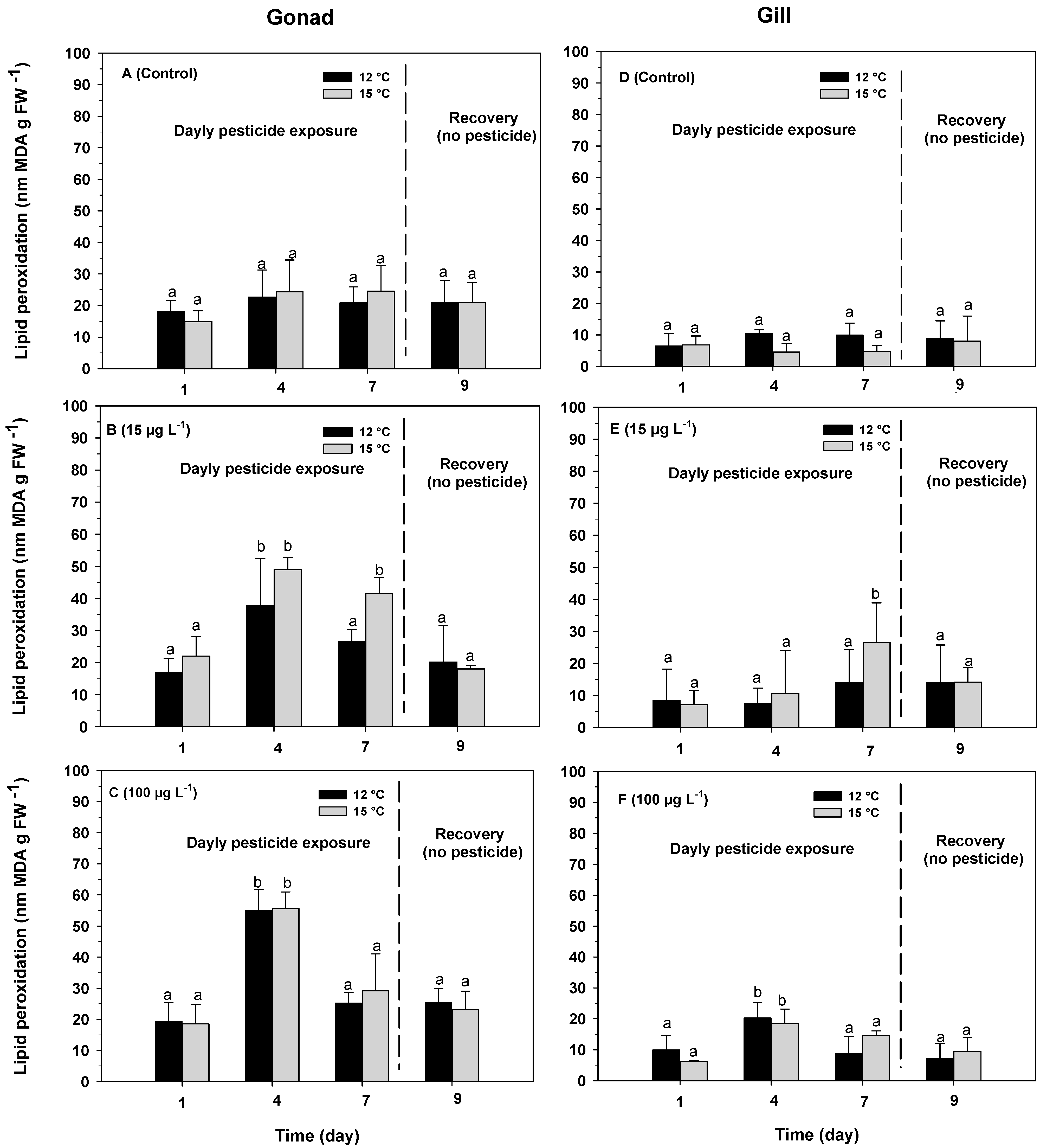Antioxidants 13 00737 g002