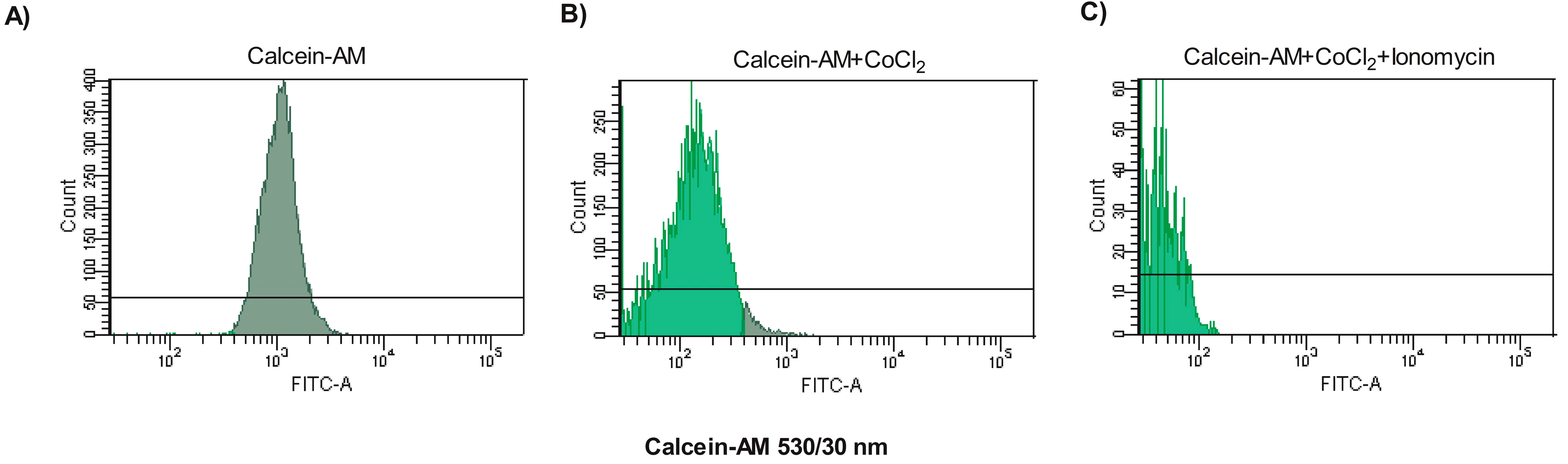 Antioxidants 13 00739 g001