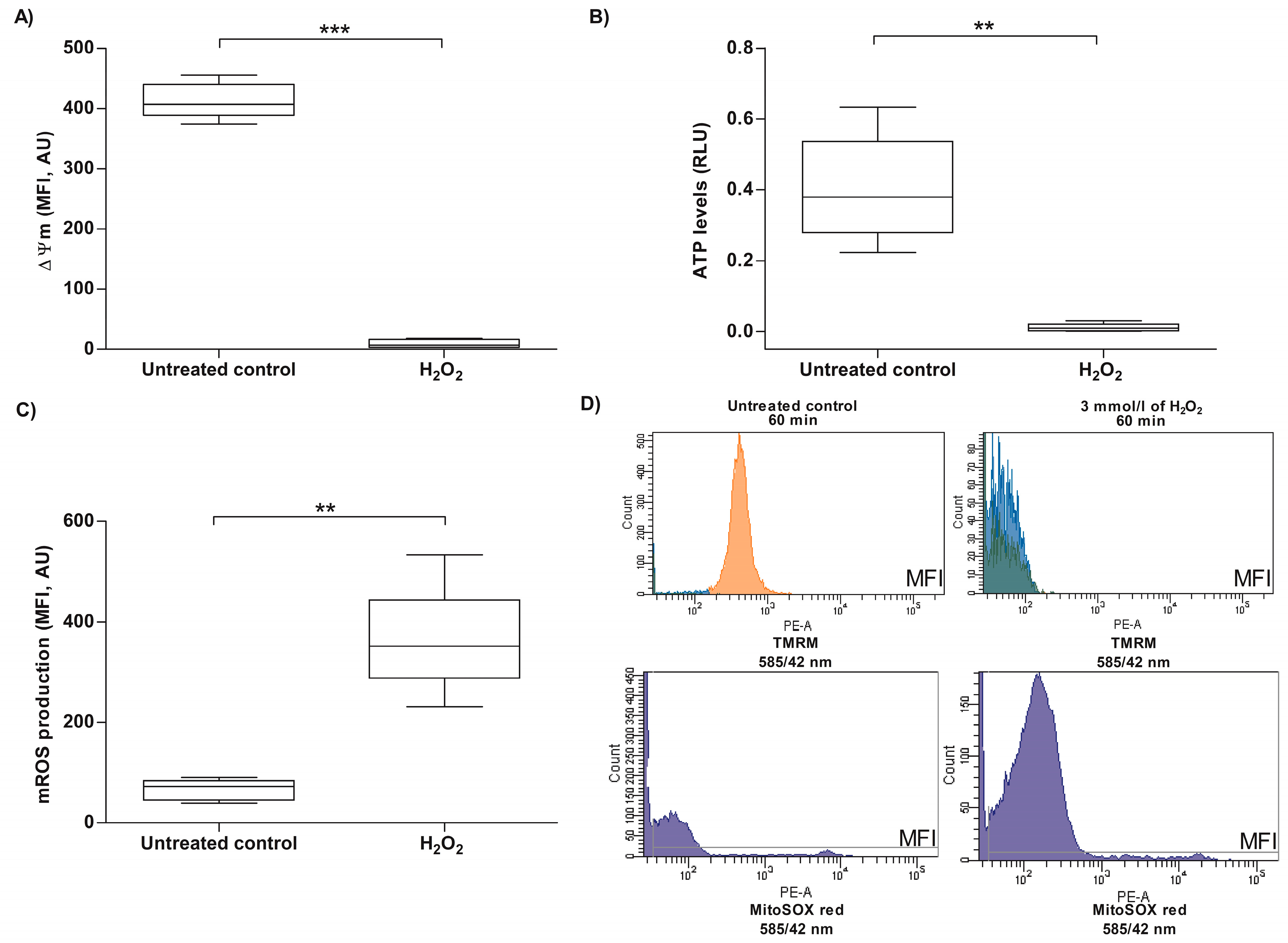 Antioxidants 13 00739 g004