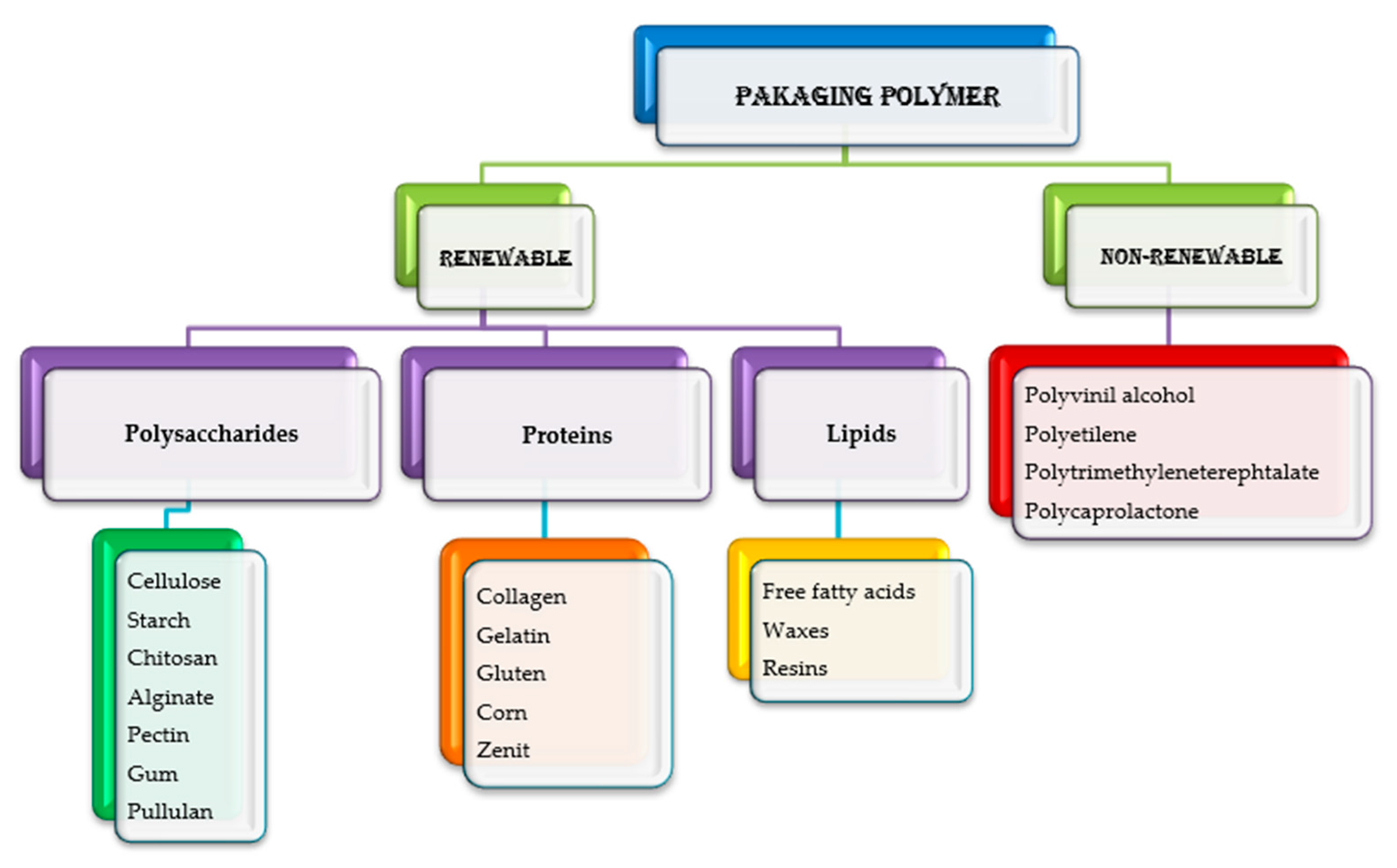 Antioxidants 13 00742 g005