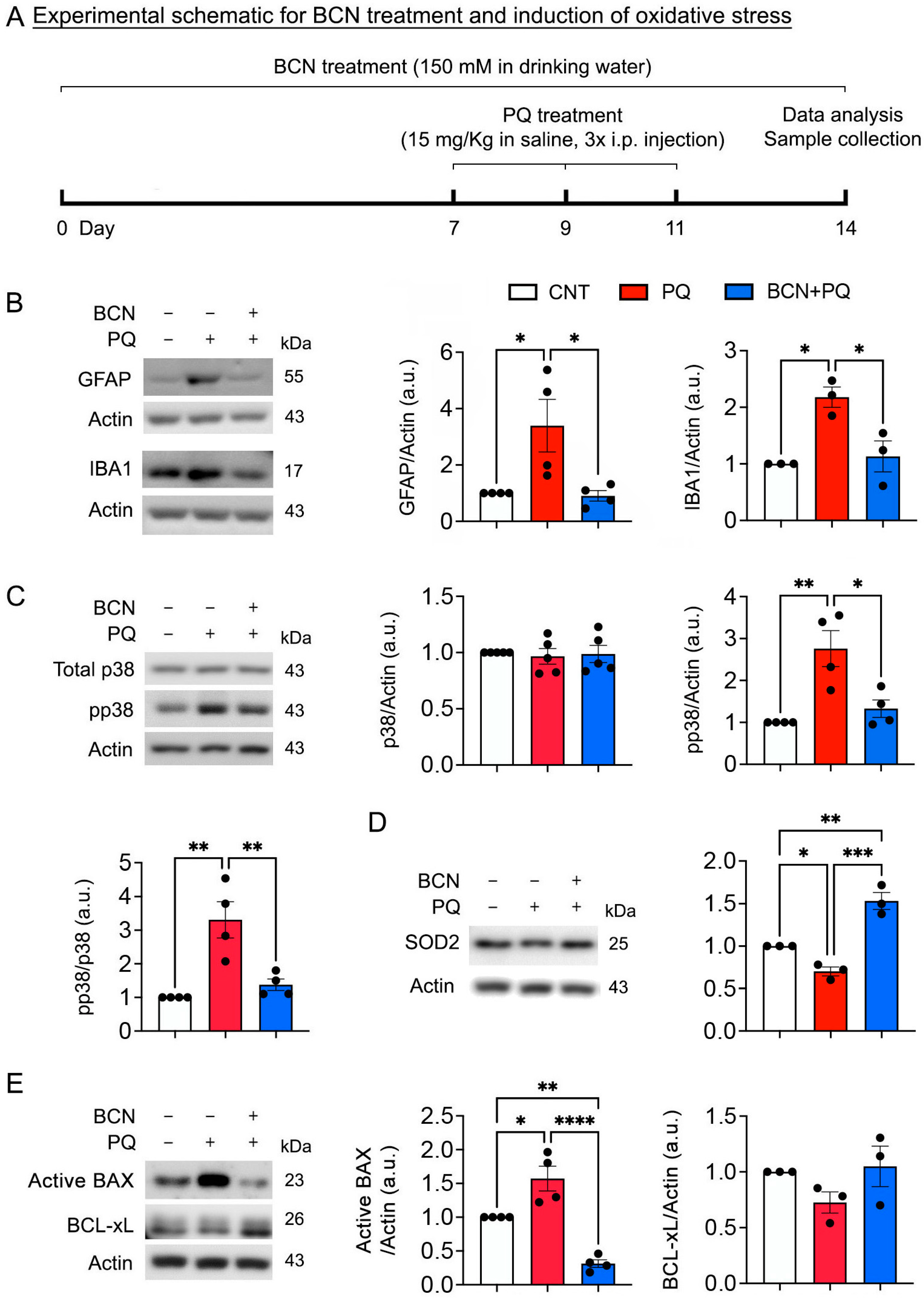 Antioxidants 13 00743 g003