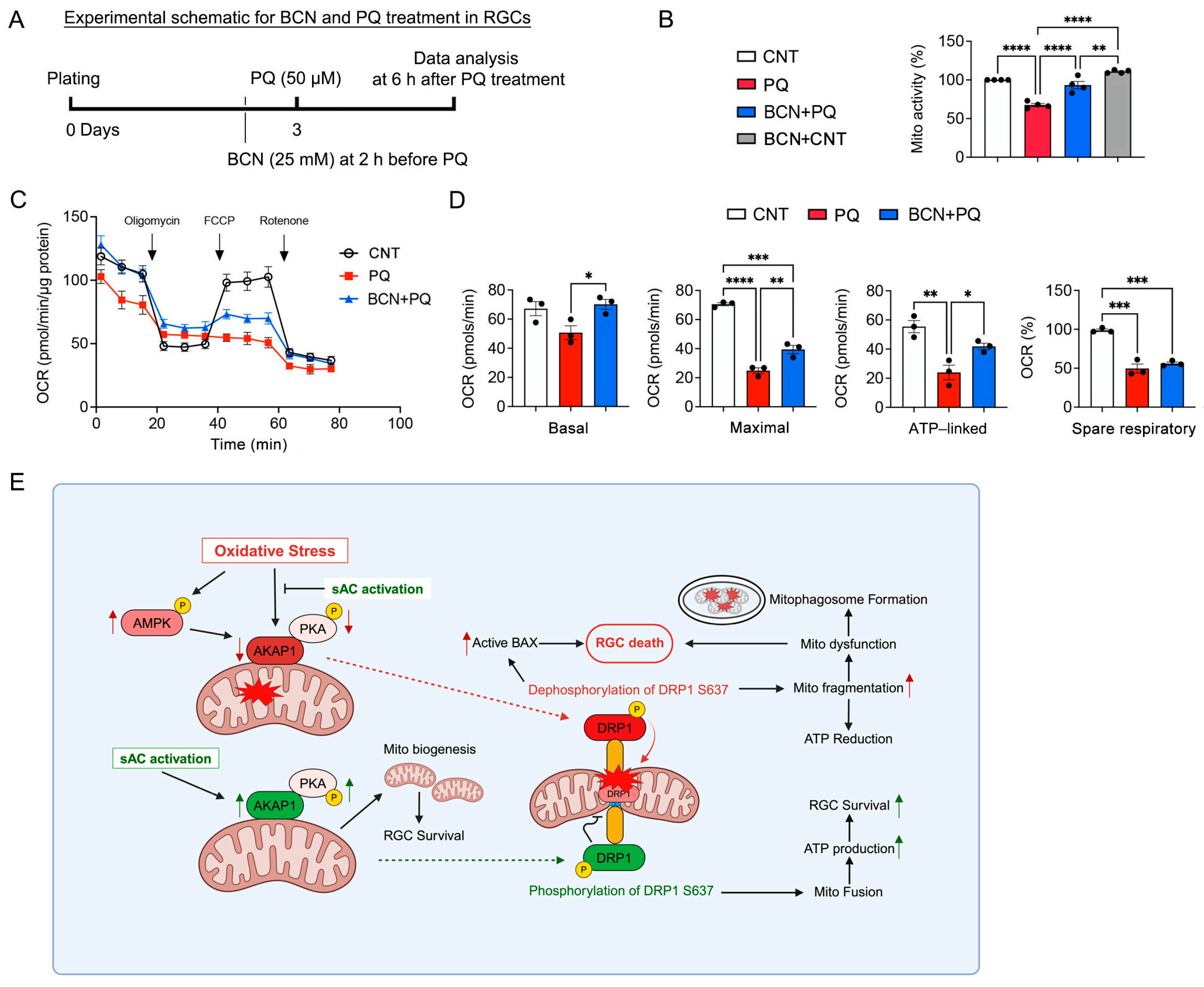 Antioxidants 13 00743 g008