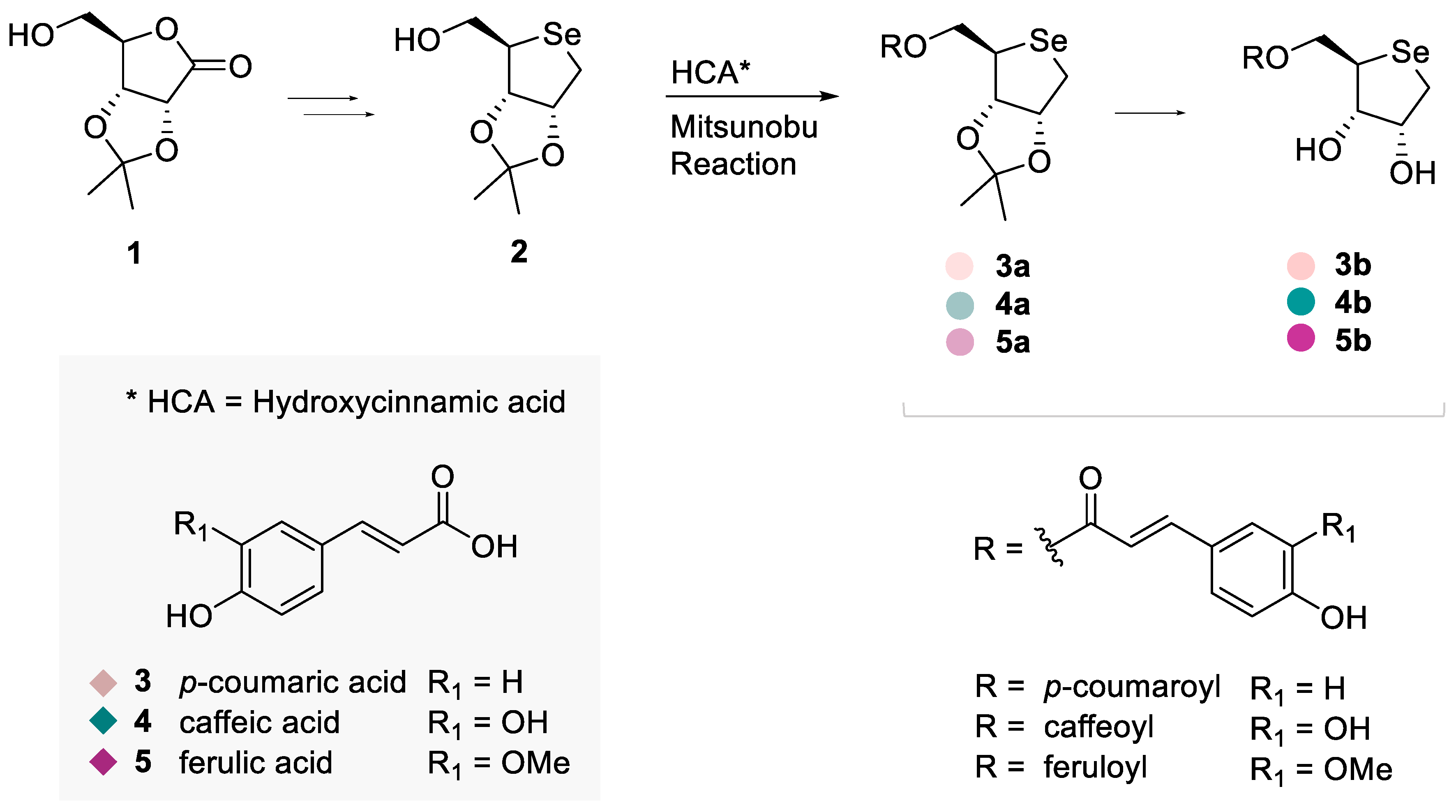 Antioxidants 13 00744 g001