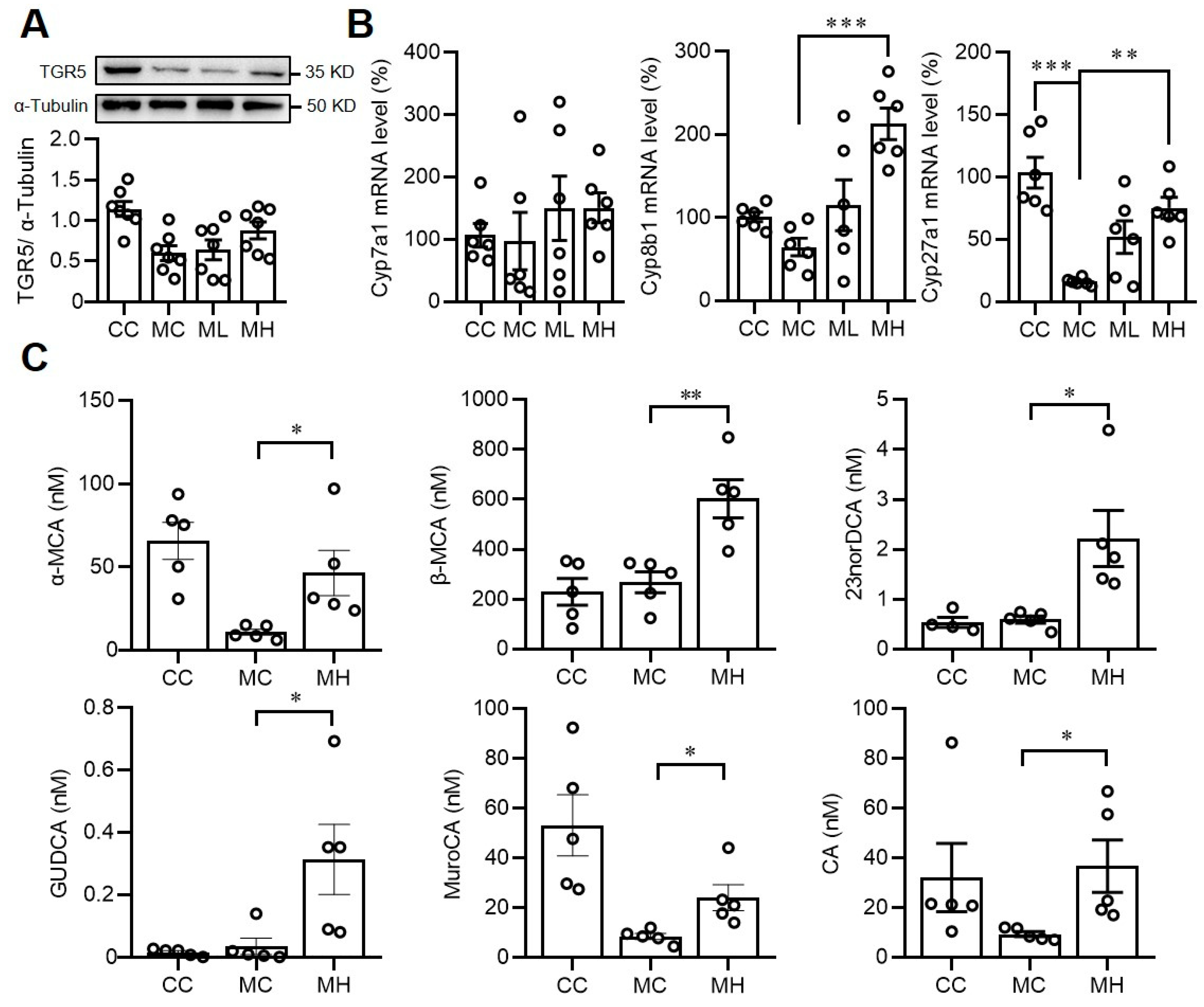 Antioxidants 13 00746 g006