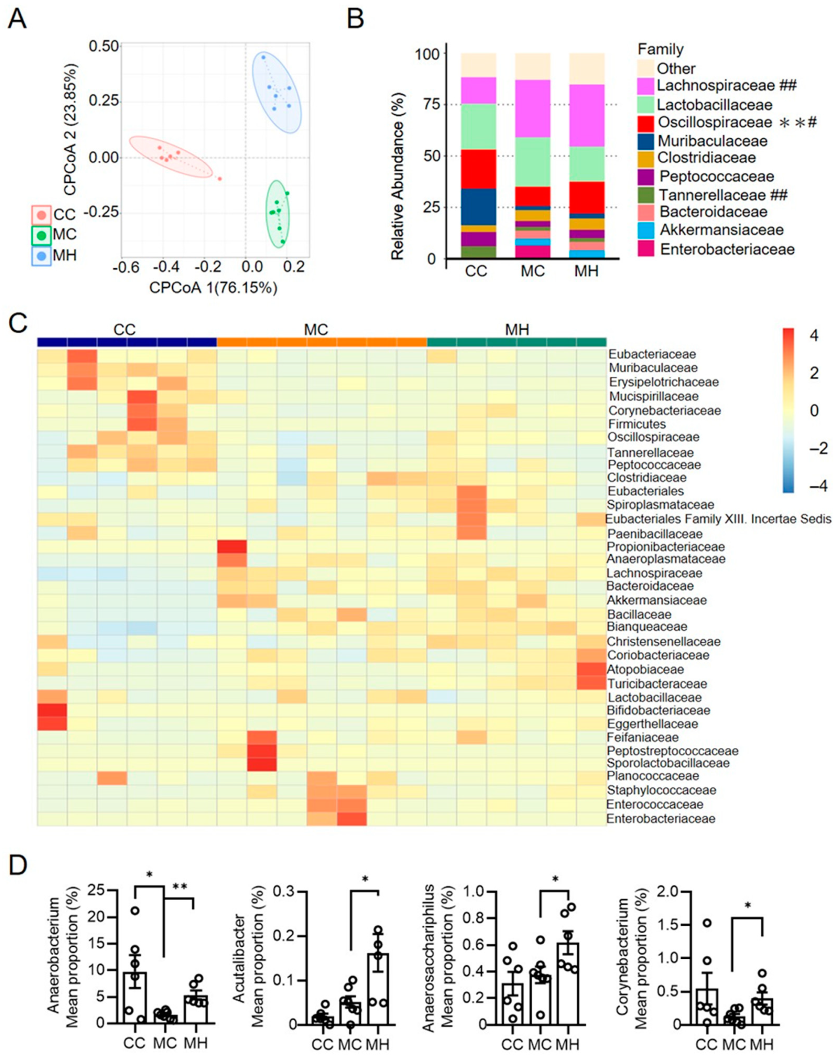 Antioxidants 13 00746 g007