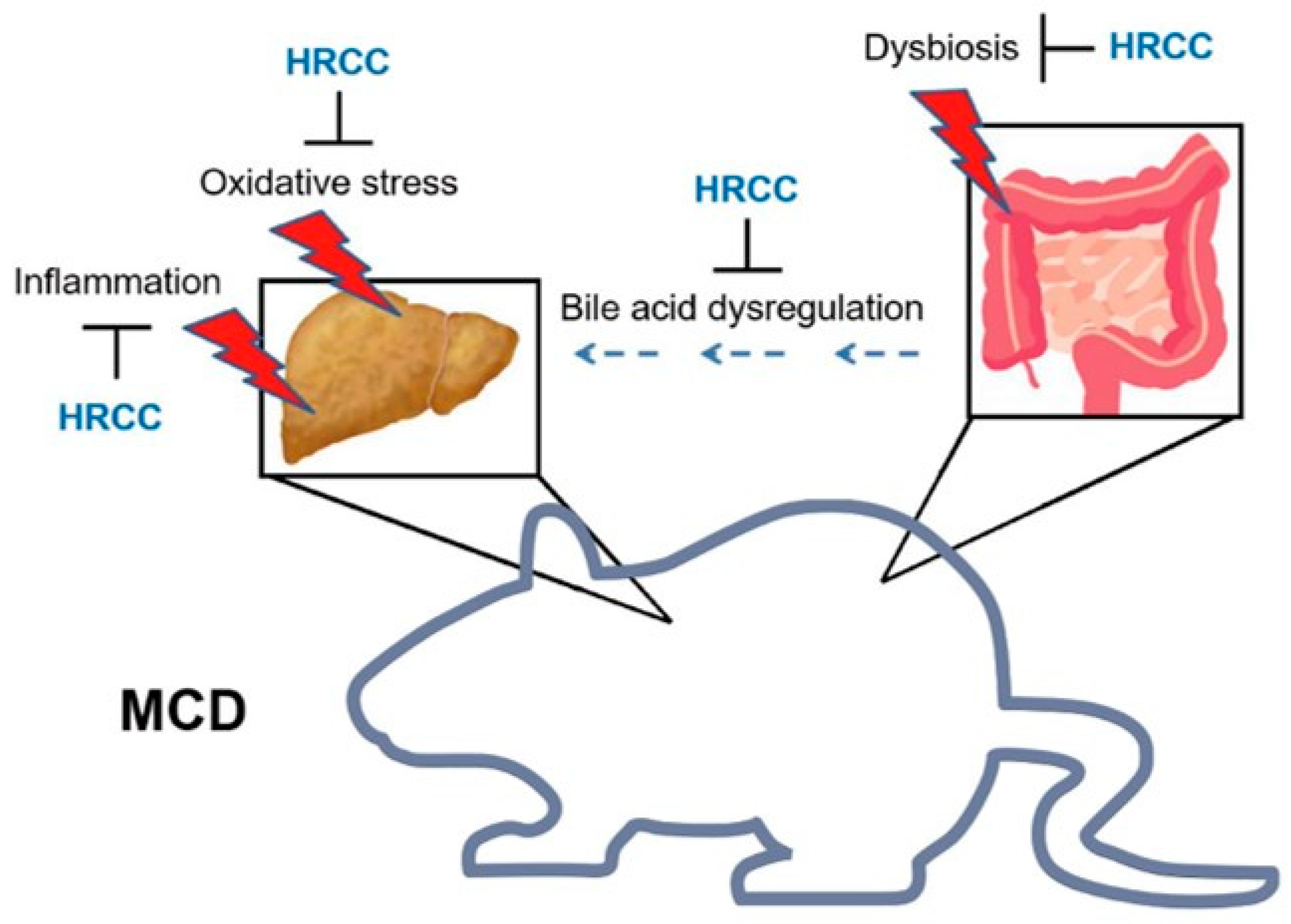 Antioxidants 13 00746 g008