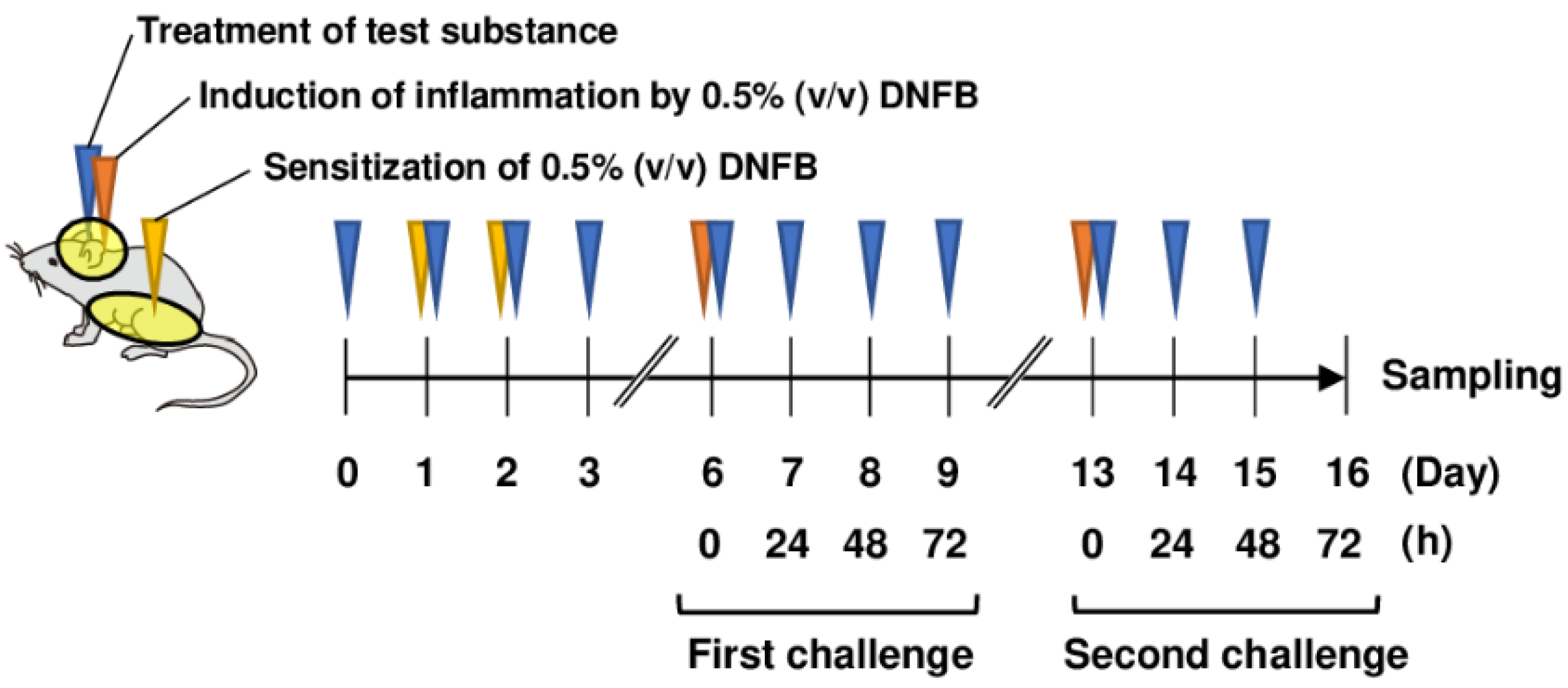 Antioxidants 13 00748 g001
