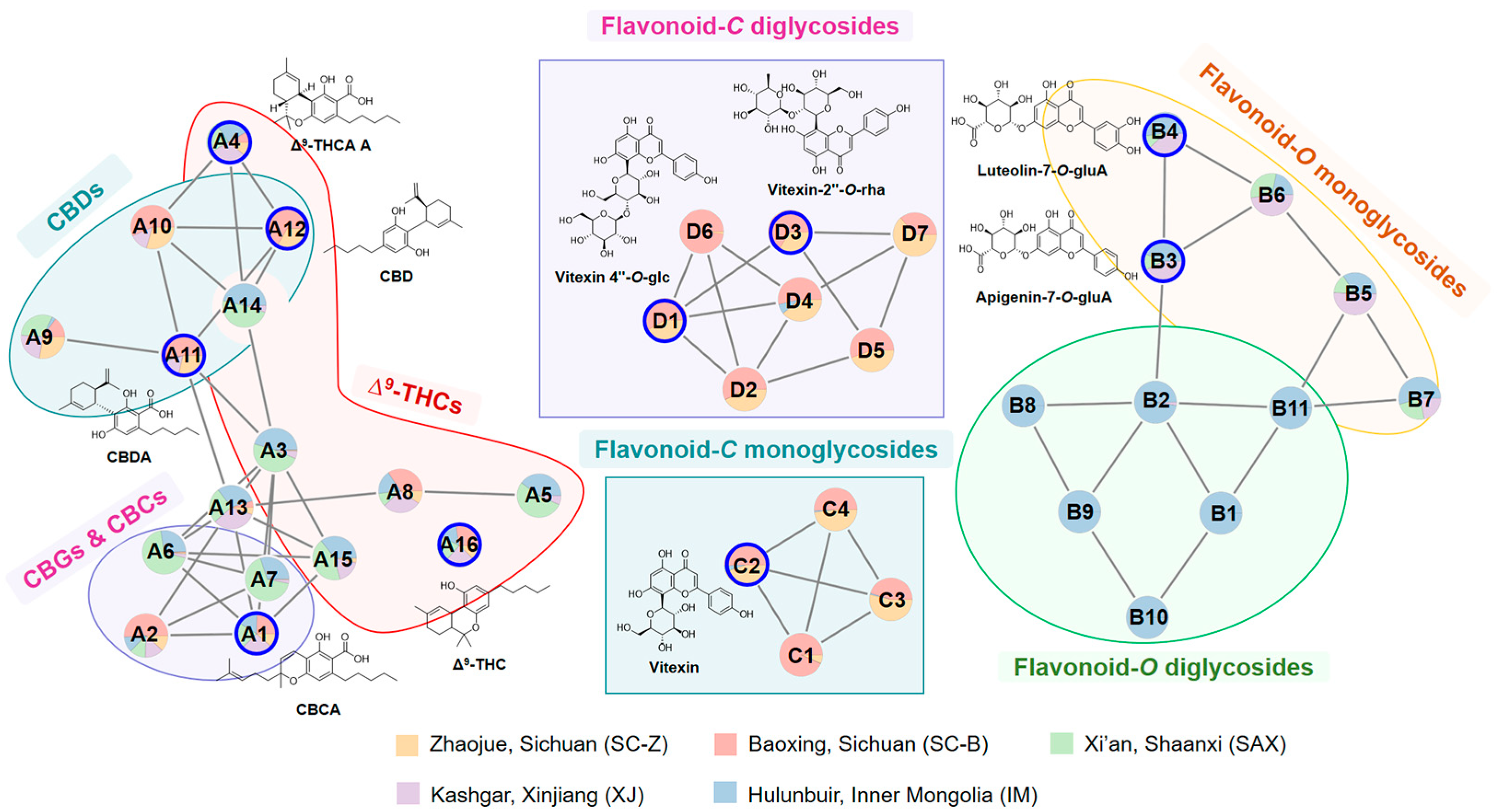 Antioxidants 13 00749 g002