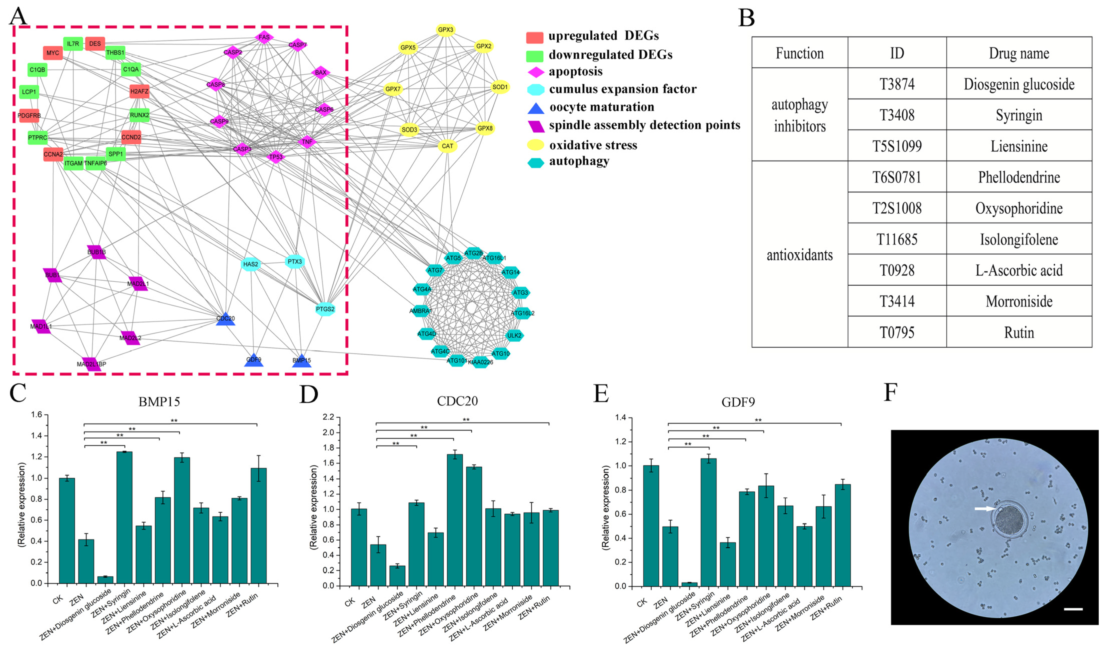 Antioxidants 13 00752 g001