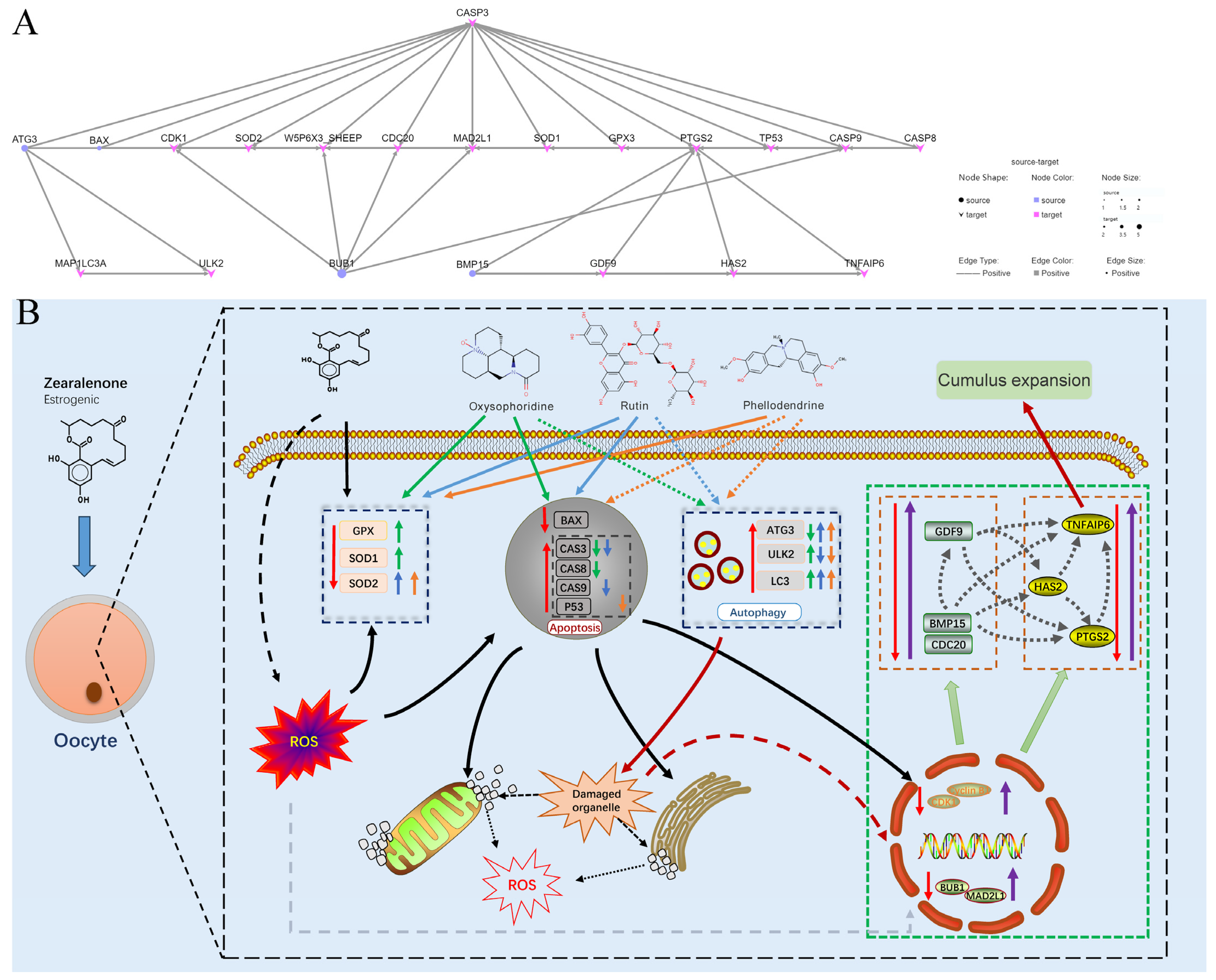Antioxidants 13 00752 g010