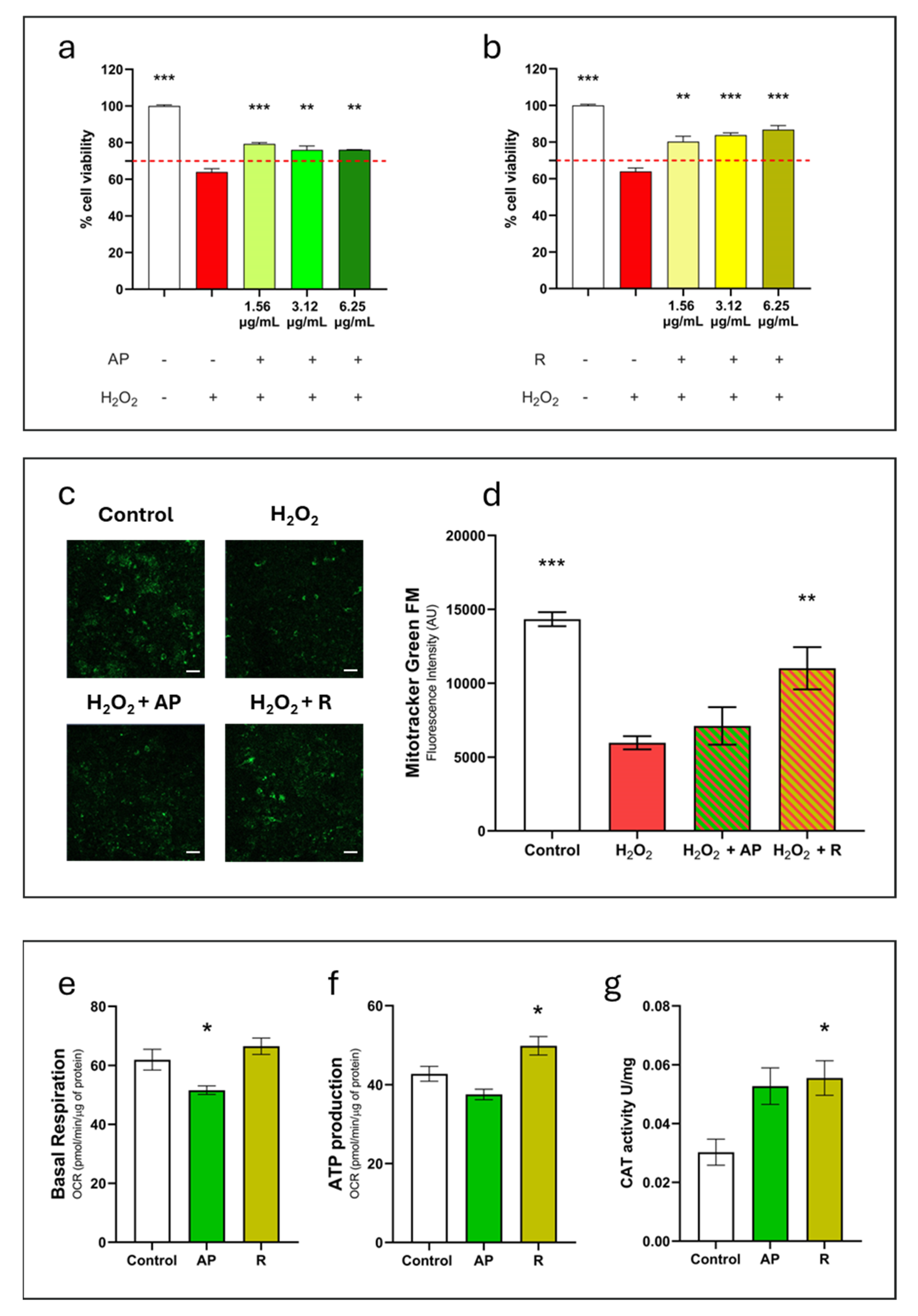 Antioxidants 13 00753 g005