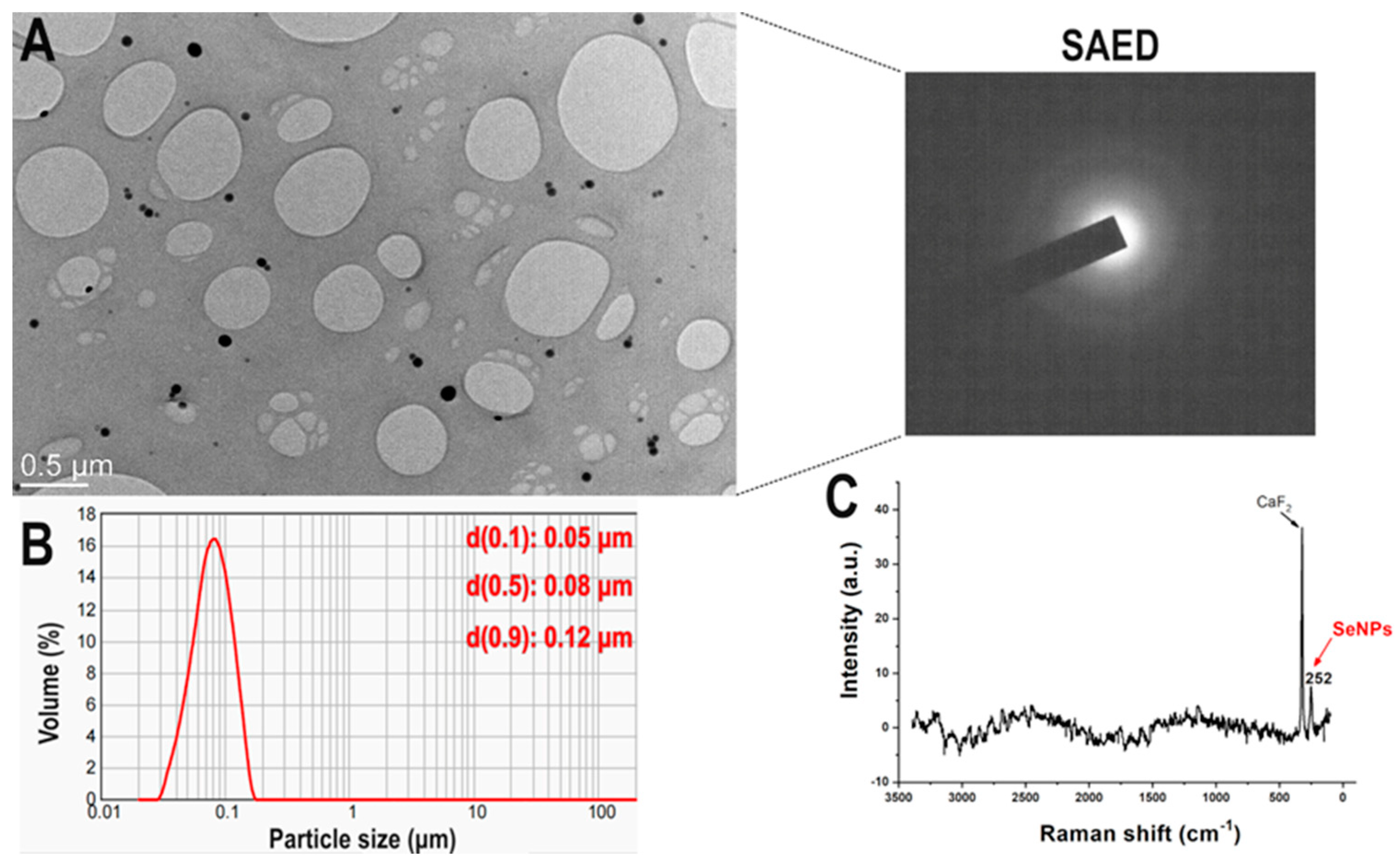 Antioxidants 13 00756 g001