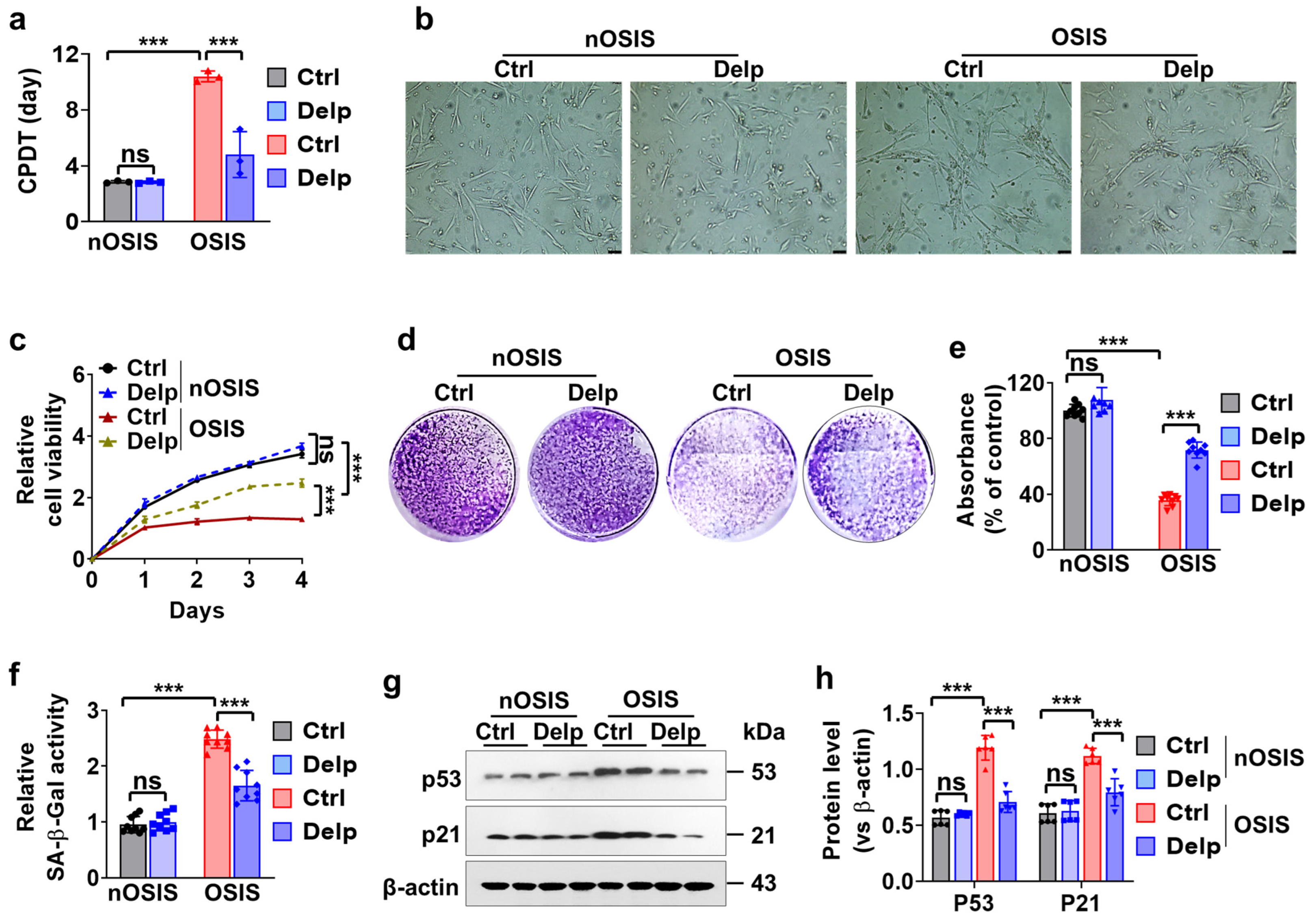 Antioxidants 13 00759 g003