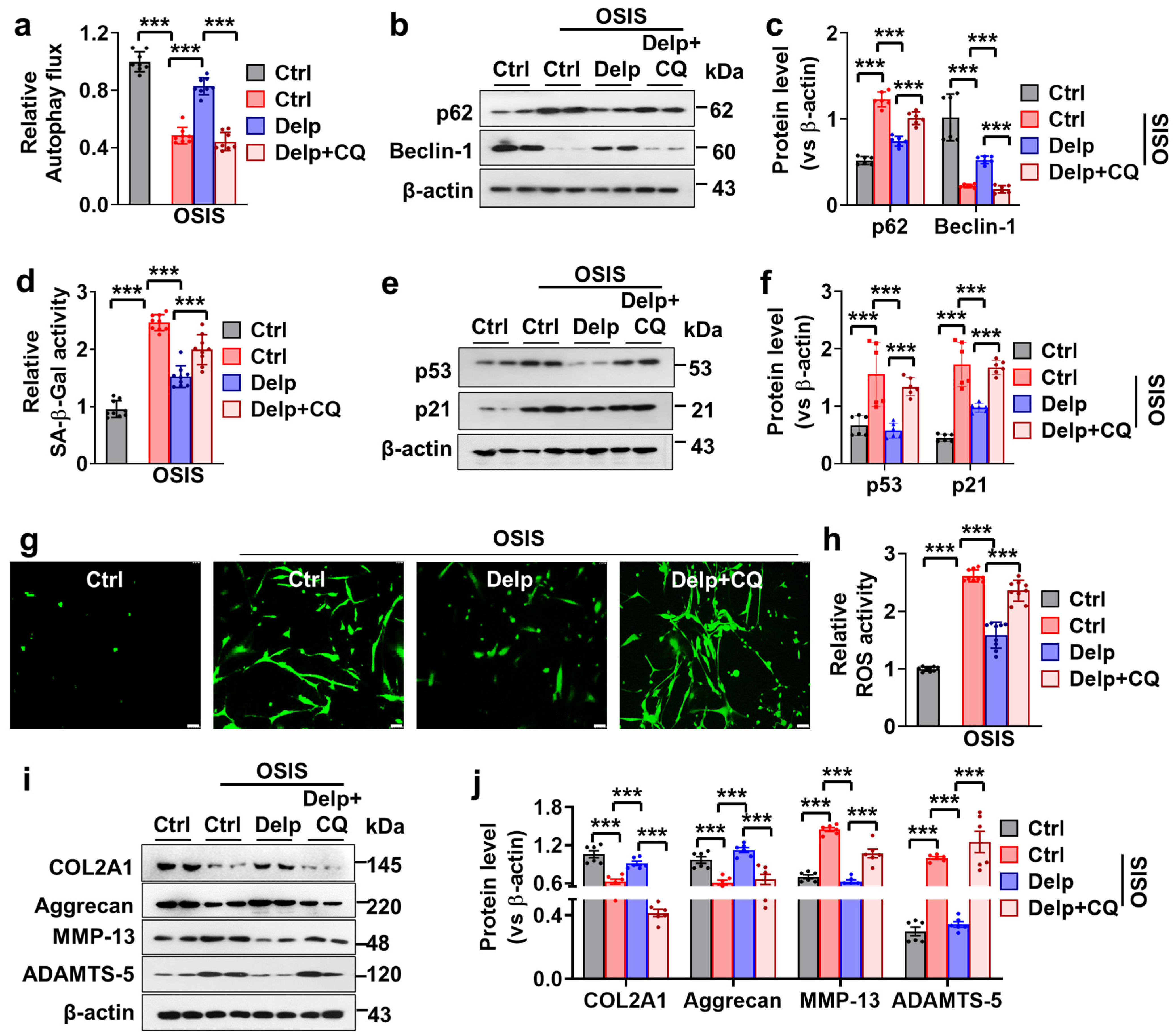 Antioxidants 13 00759 g005
