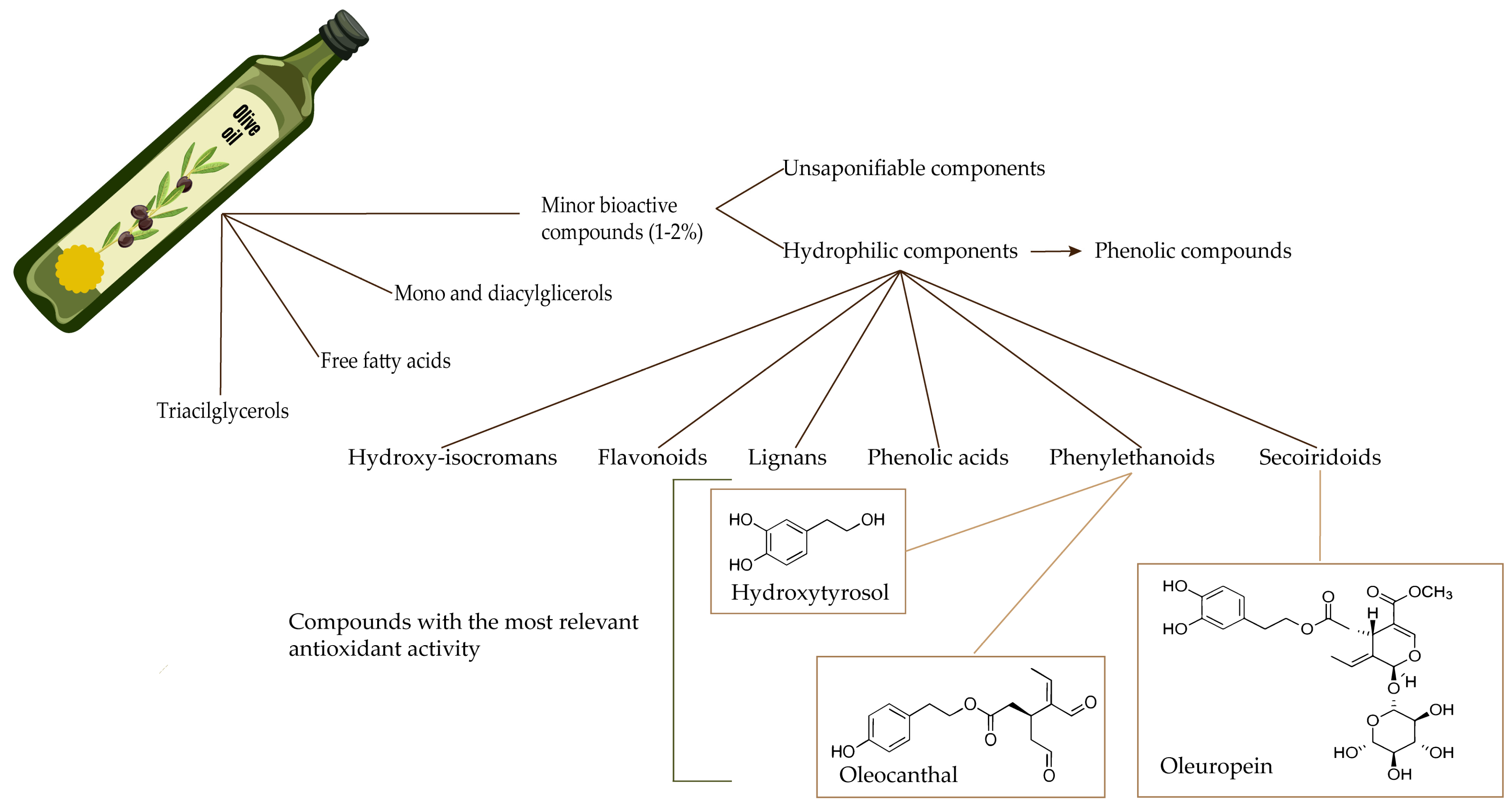 Antioxidants 13 00762 g002