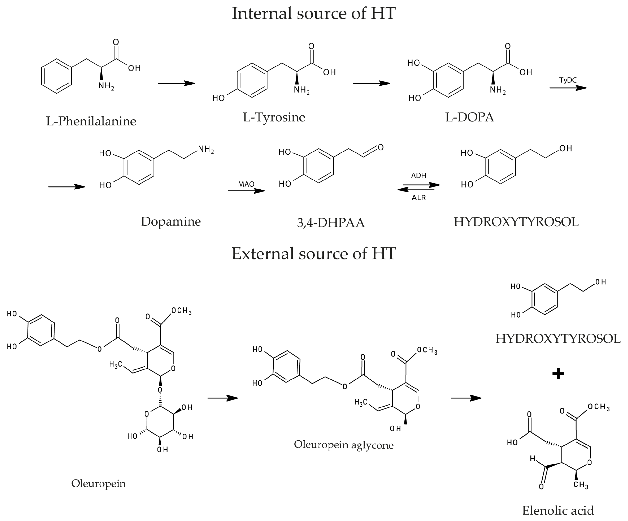 Antioxidants 13 00762 g004