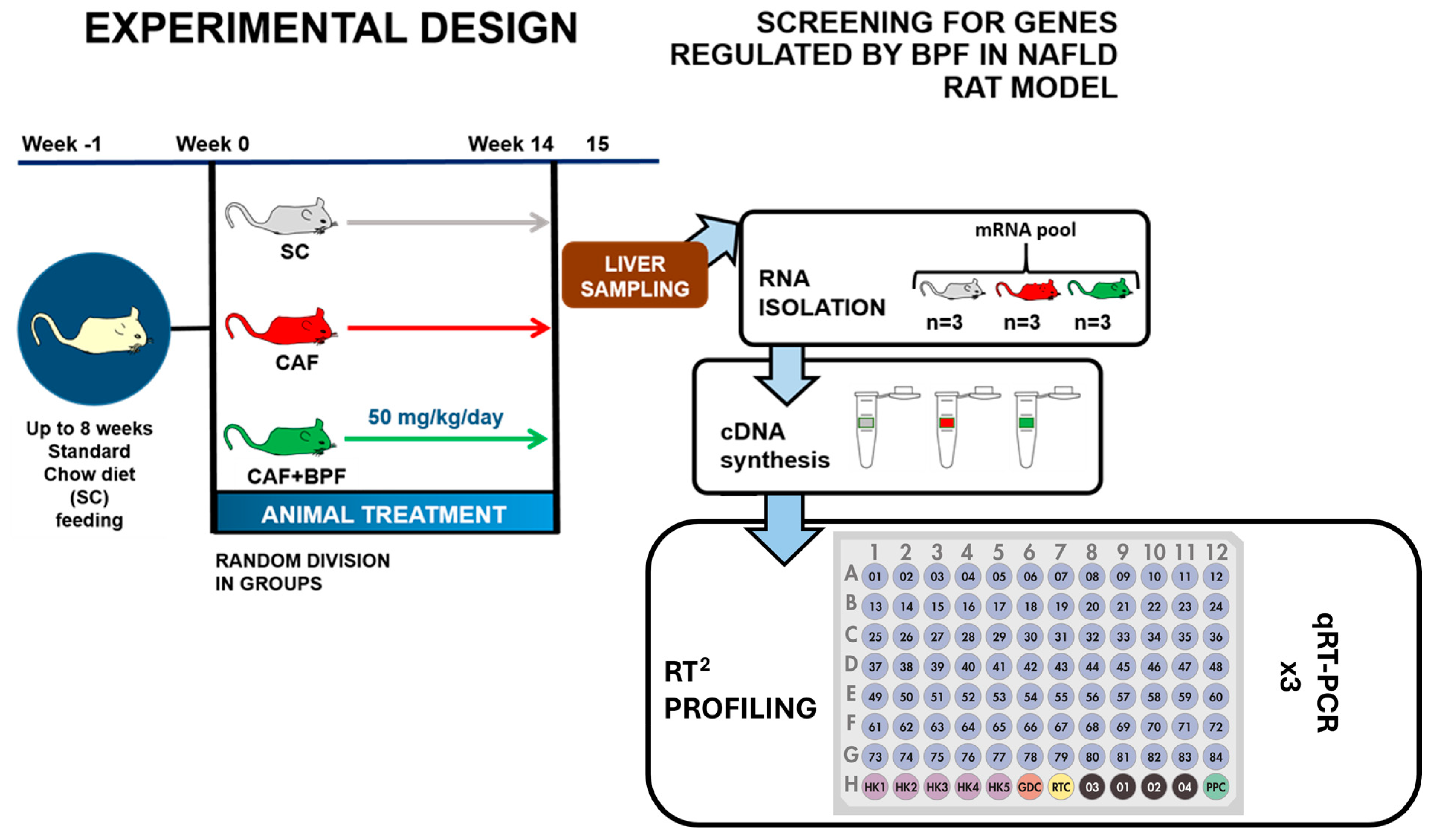 Antioxidants 13 00766 g001
