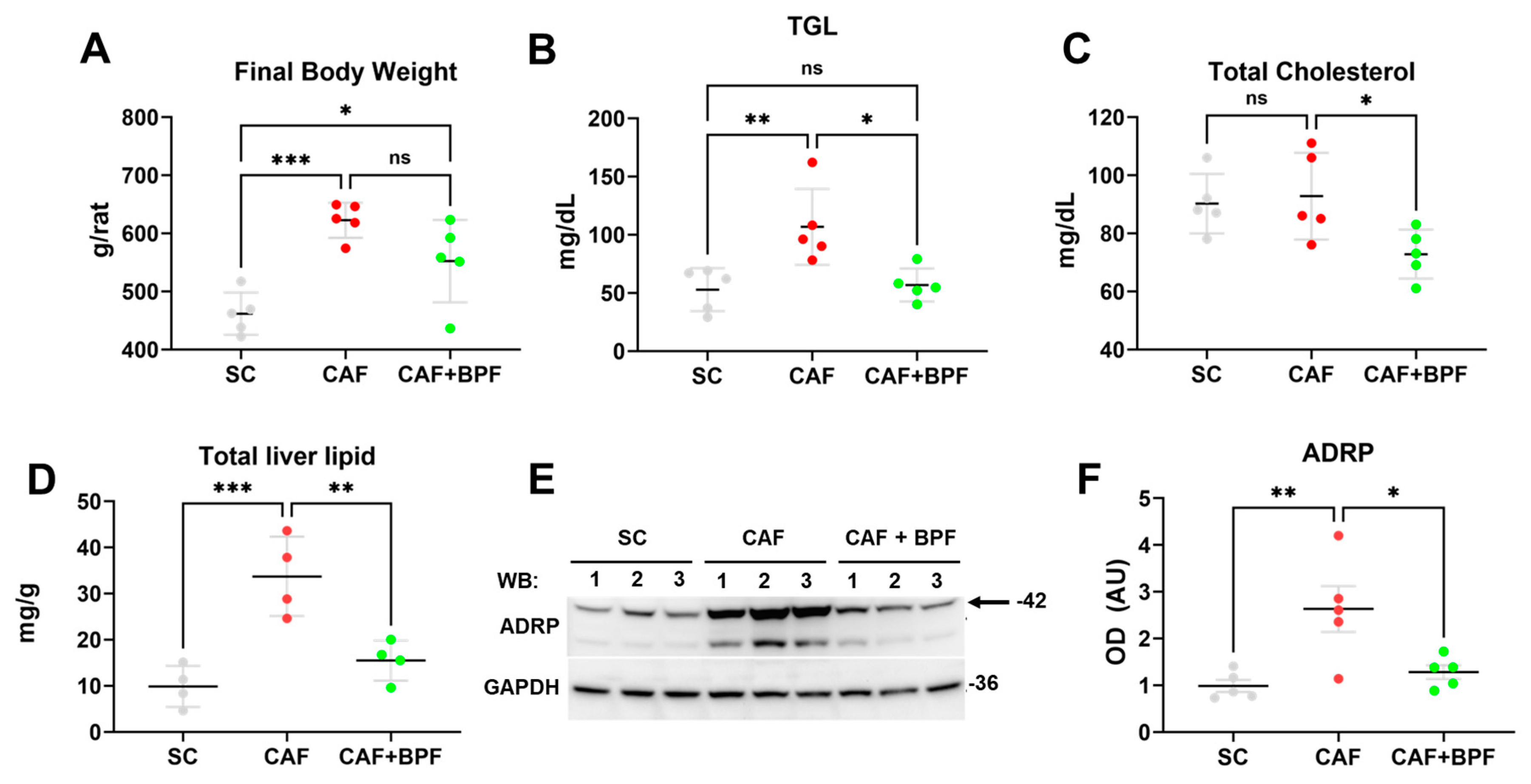 Antioxidants 13 00766 g002