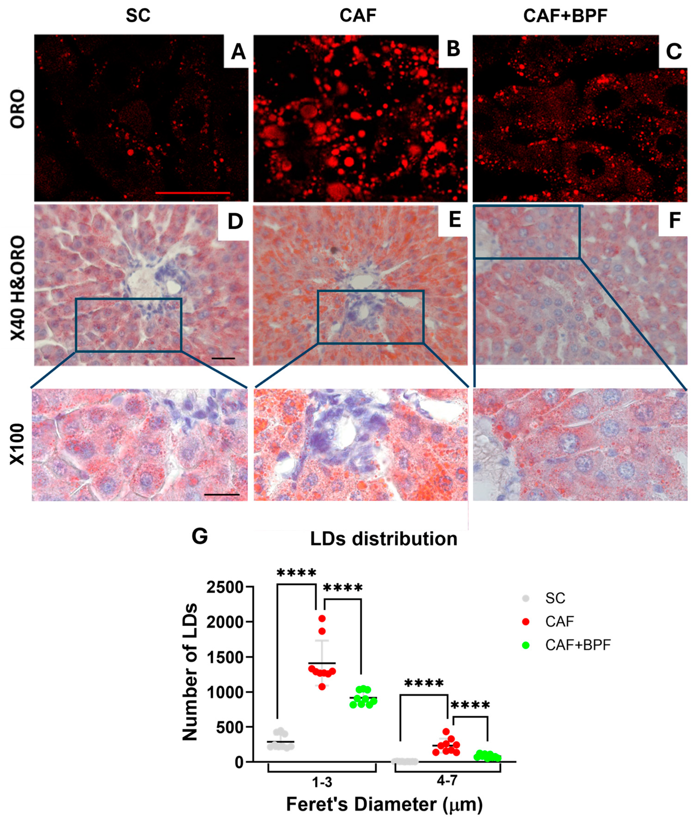 Antioxidants 13 00766 g003