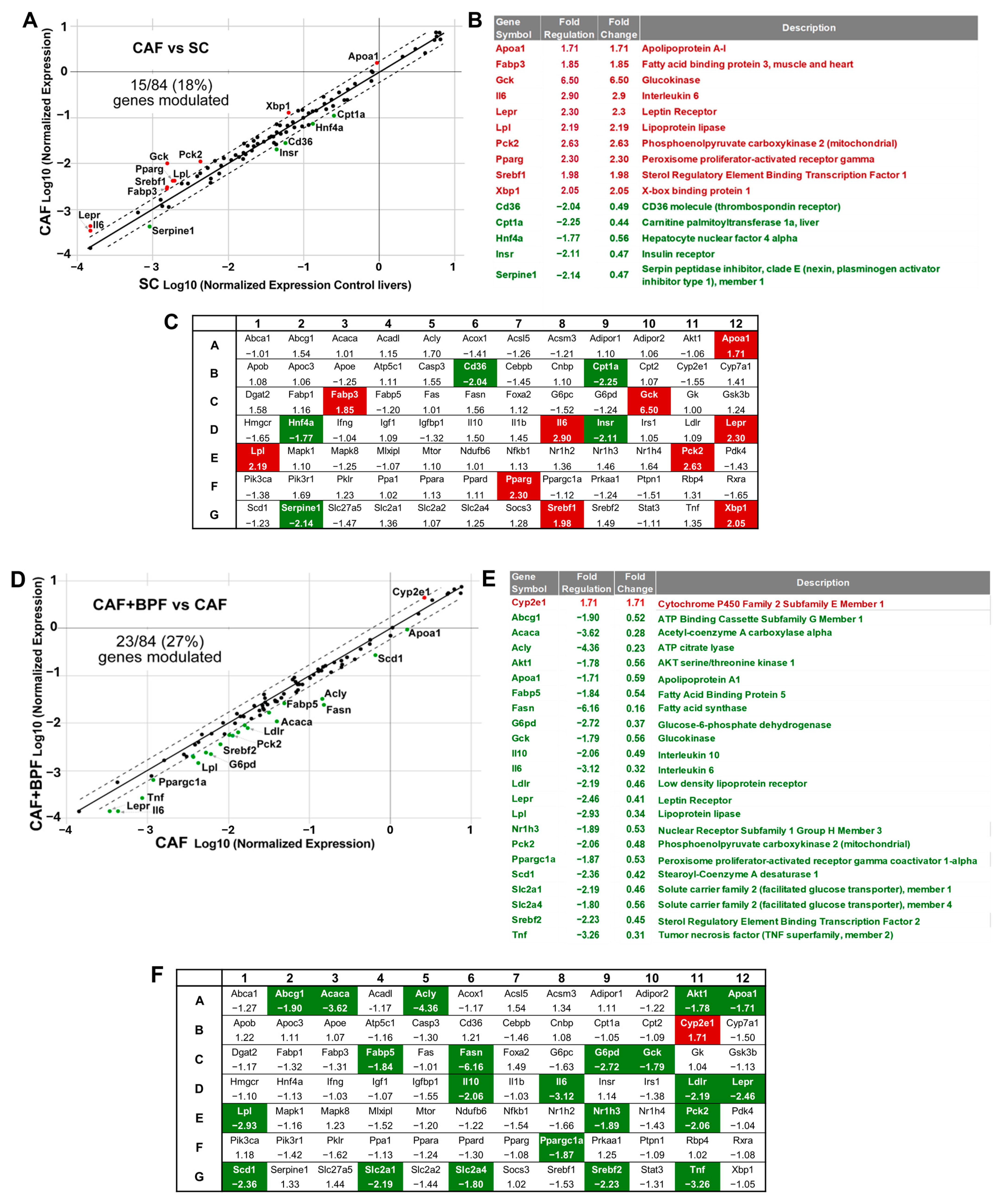 Antioxidants 13 00766 g004