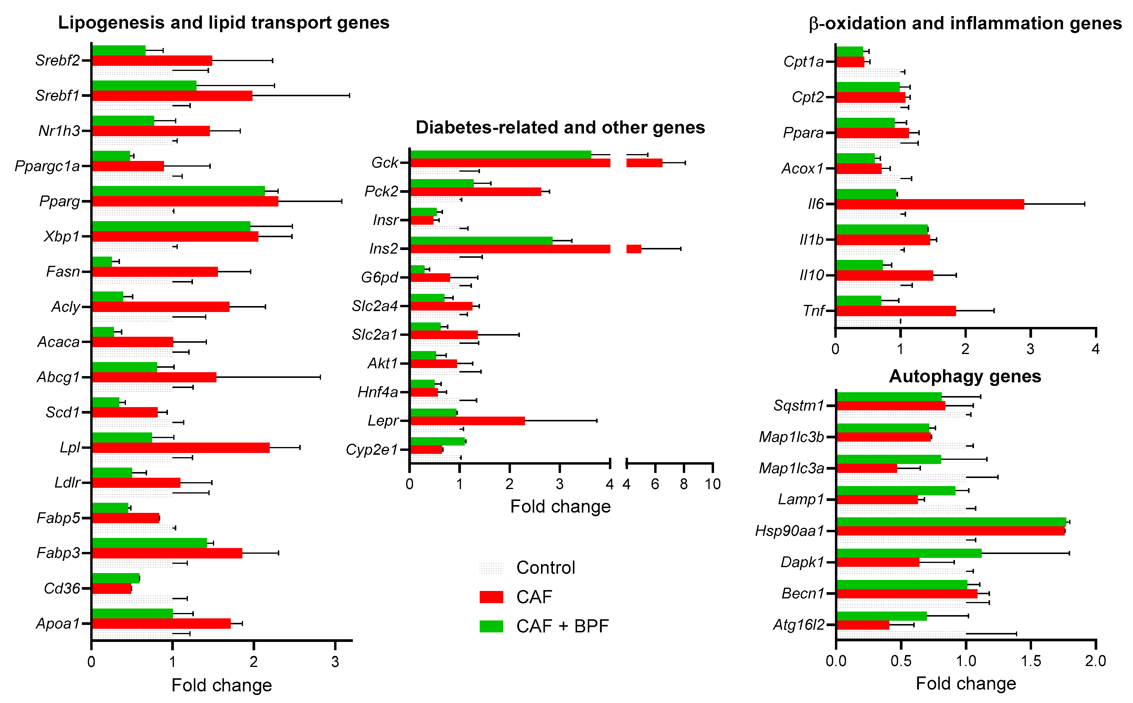 Antioxidants 13 00766 g006