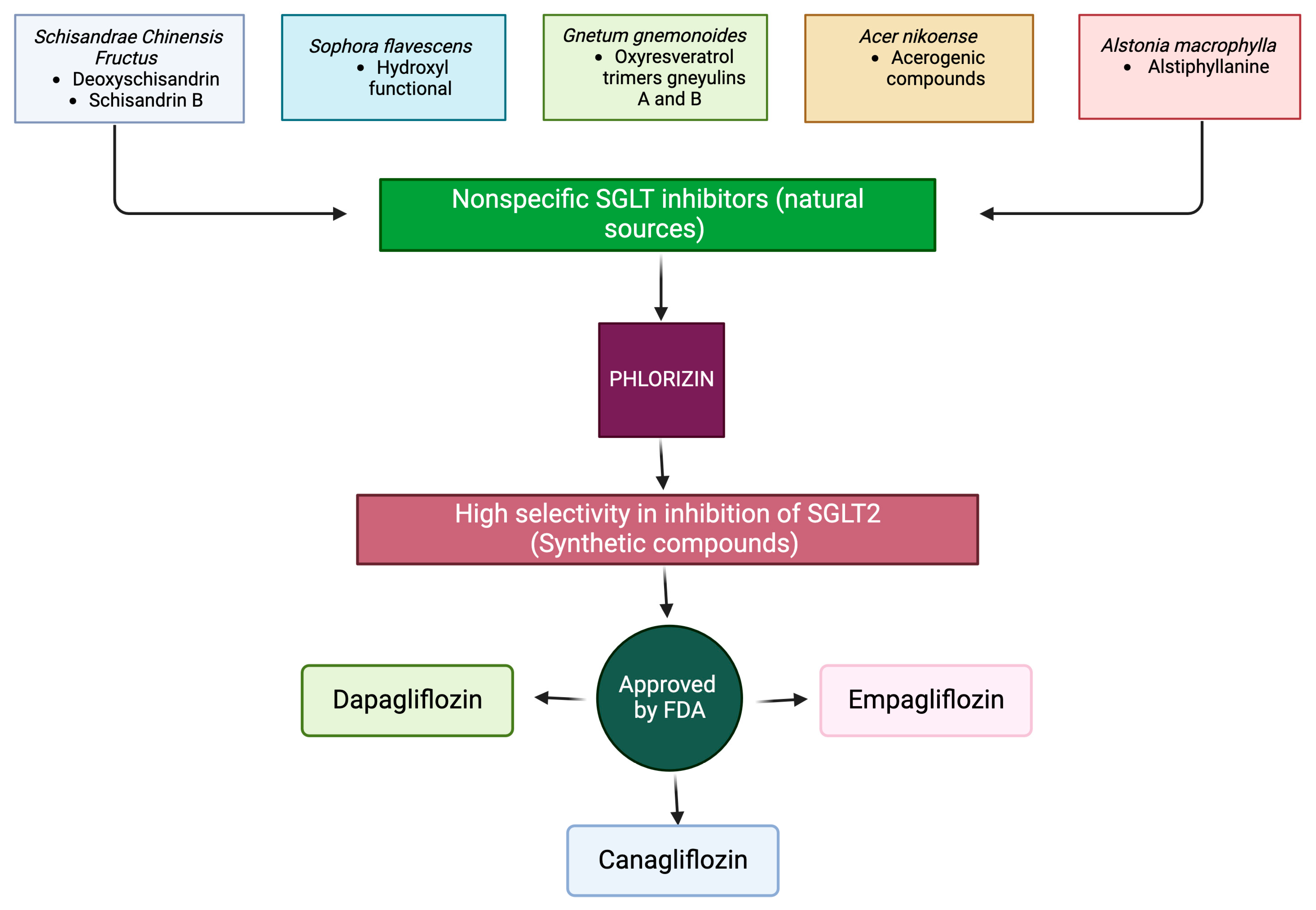 Antioxidants 13 00768 g003